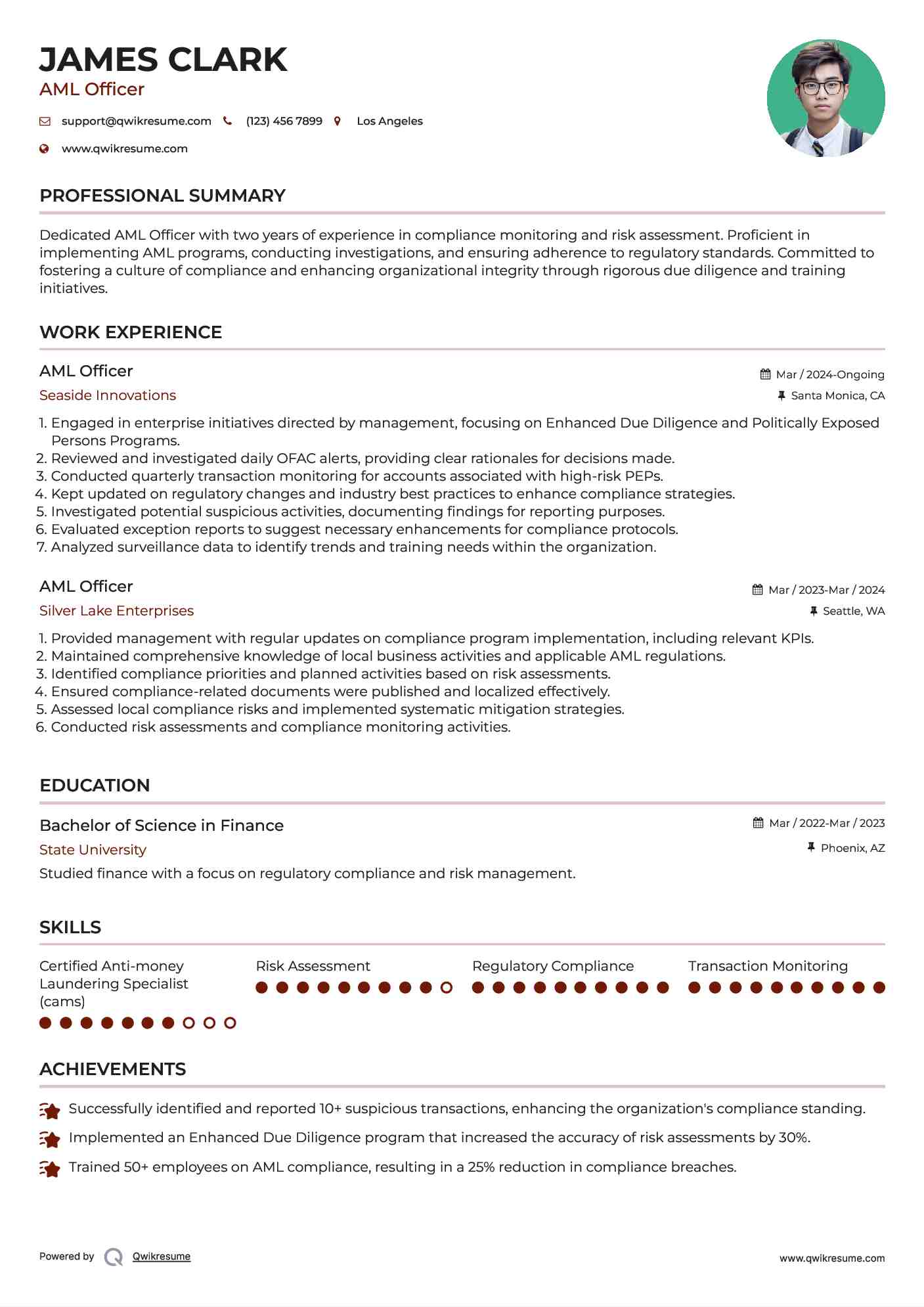 AML Officer Resume Template