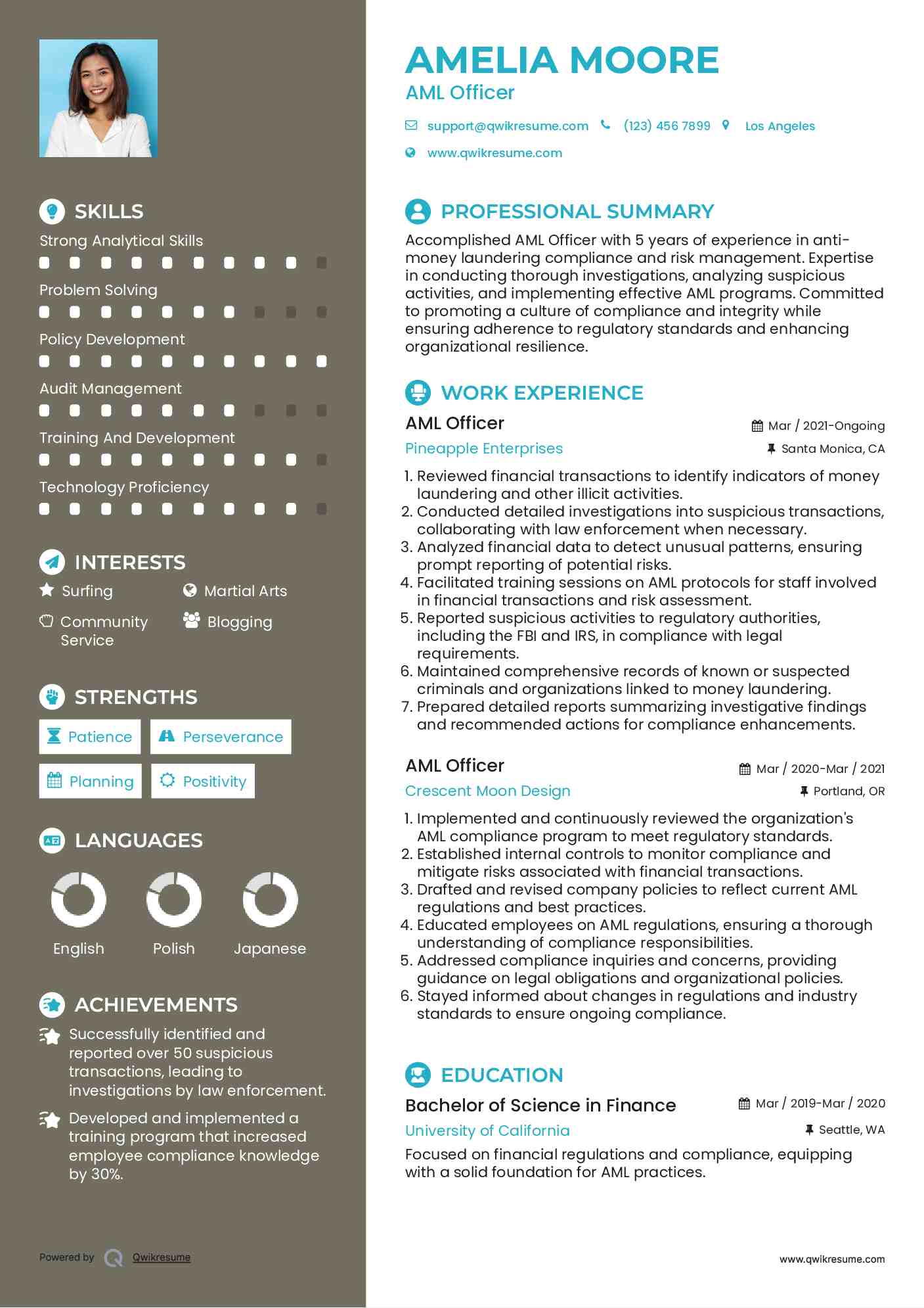 AML Officer Resume Model