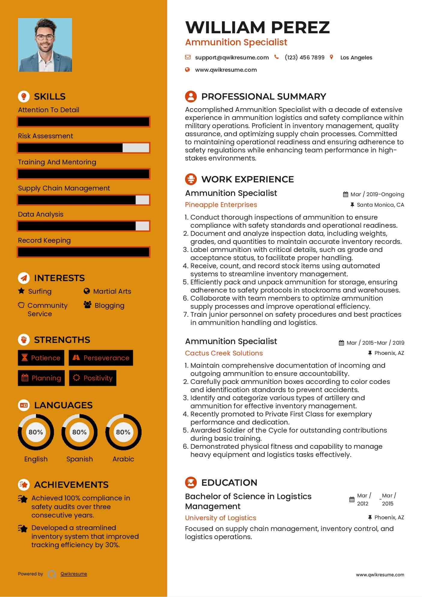 Ammunition Specialist Resume Example