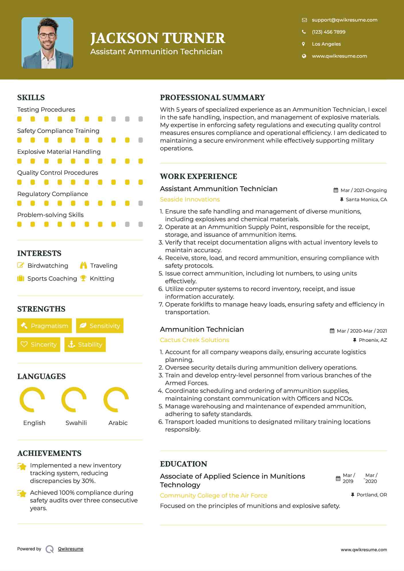 Assistant Ammunition Technician  Resume Format