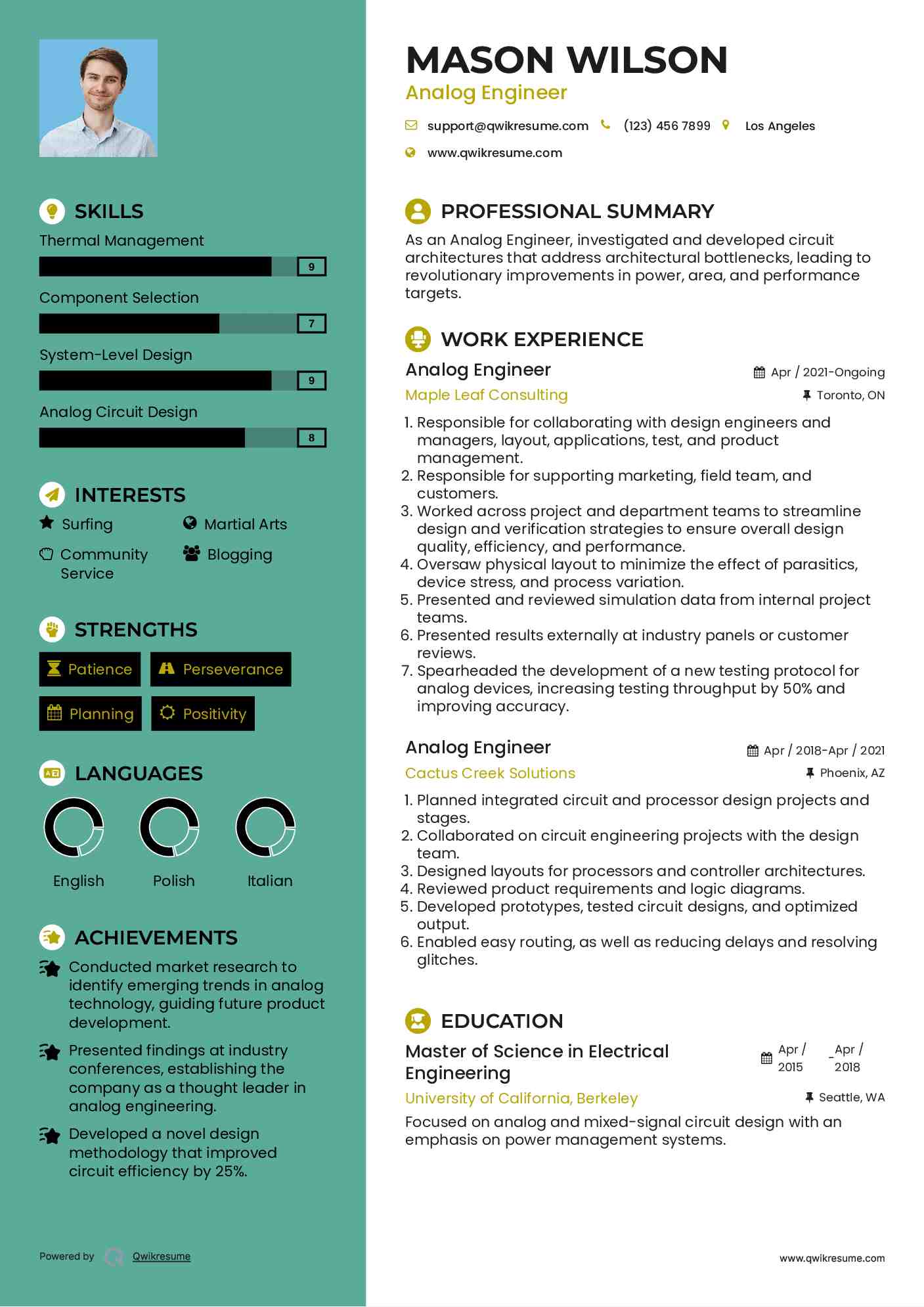Analog Engineer Resume Template