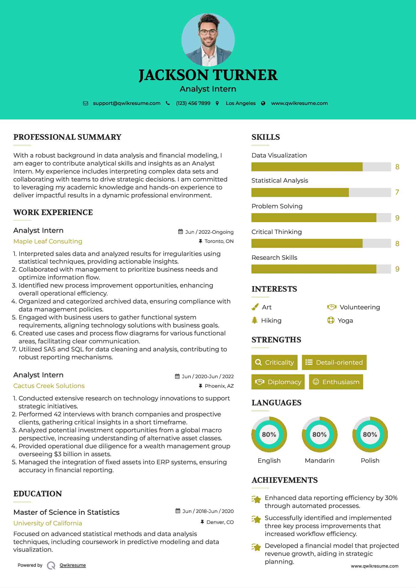 Analyst Intern Resume Example