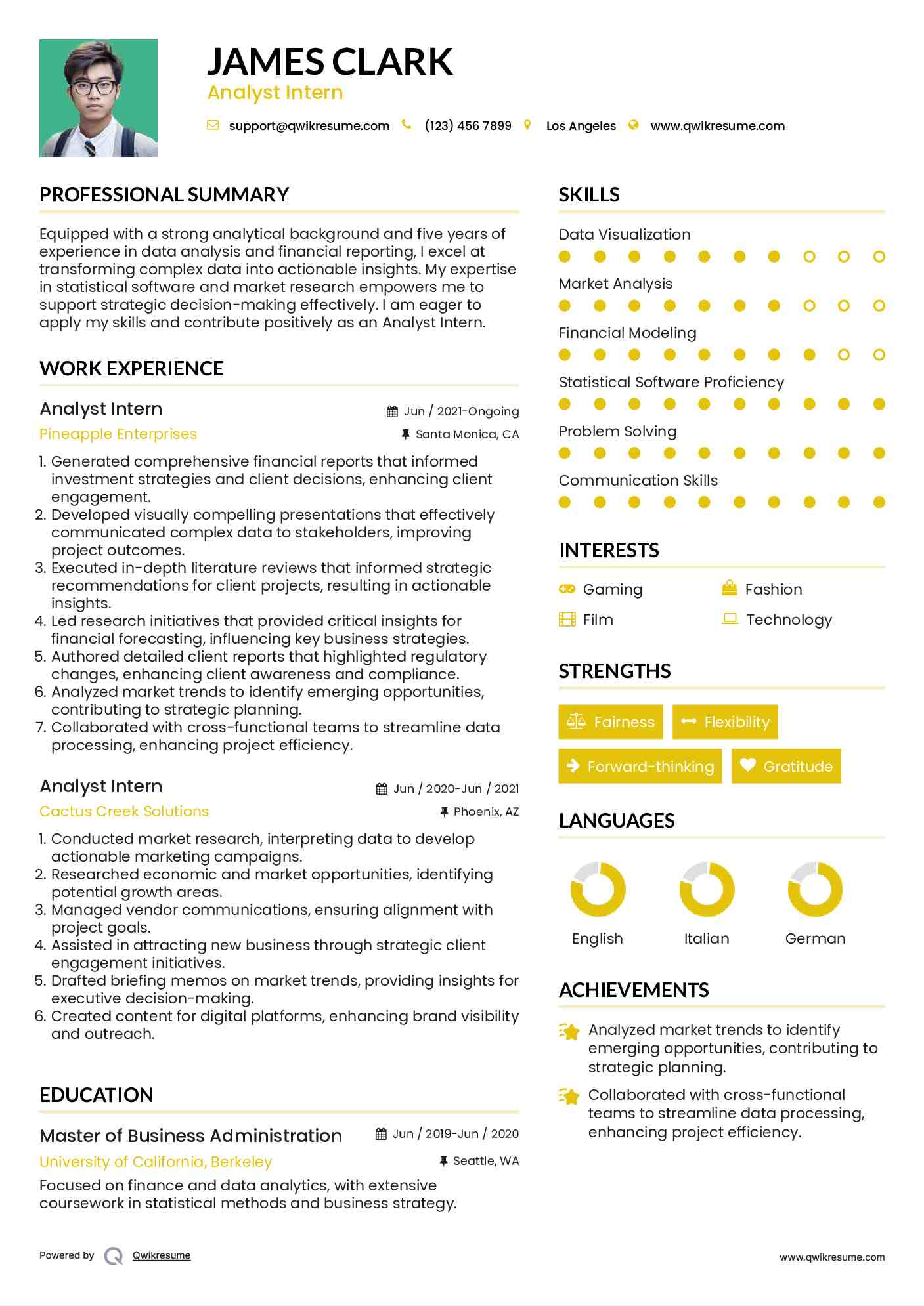 Analyst Intern Resume Sample