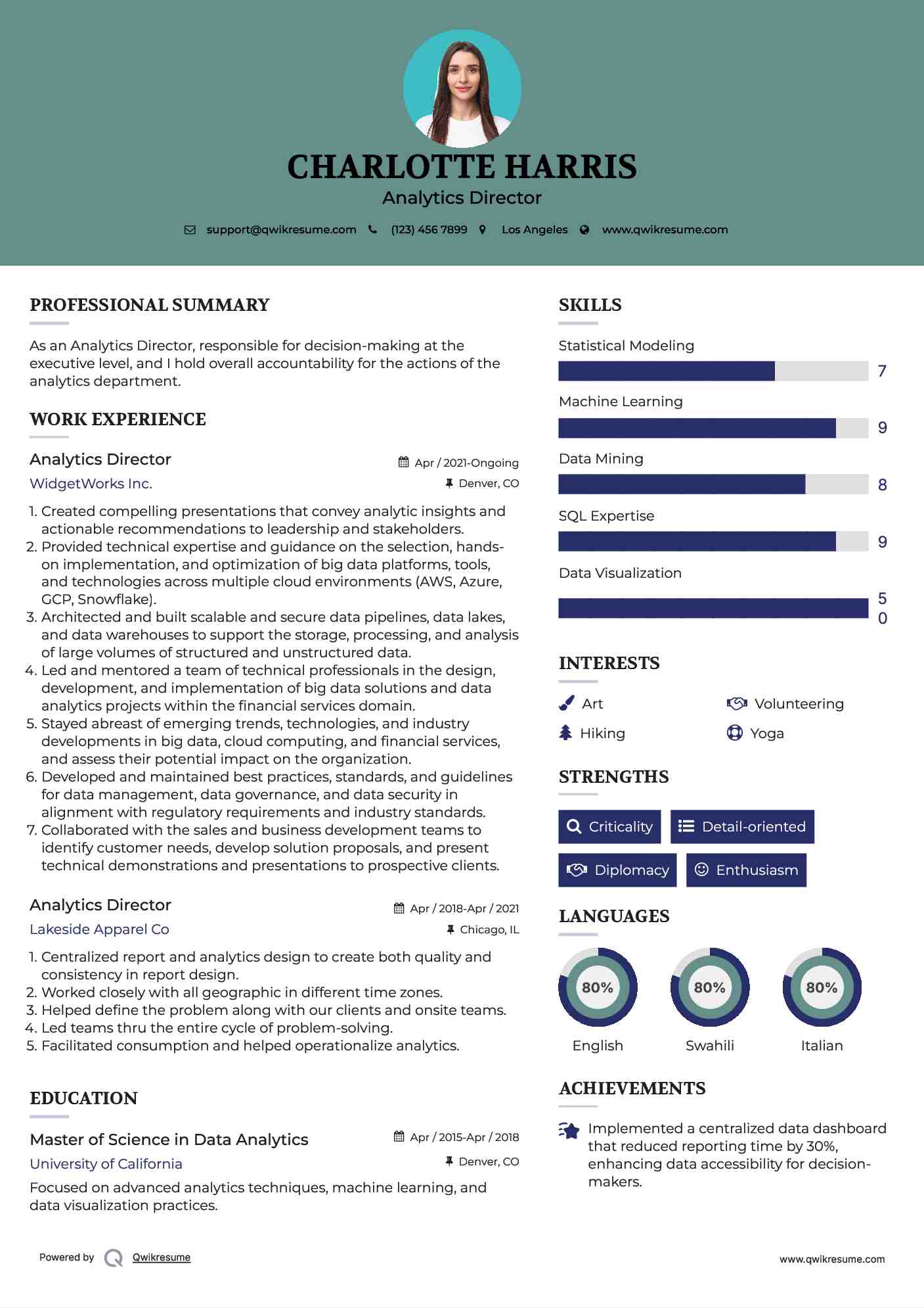 Analytics Director Resume Model