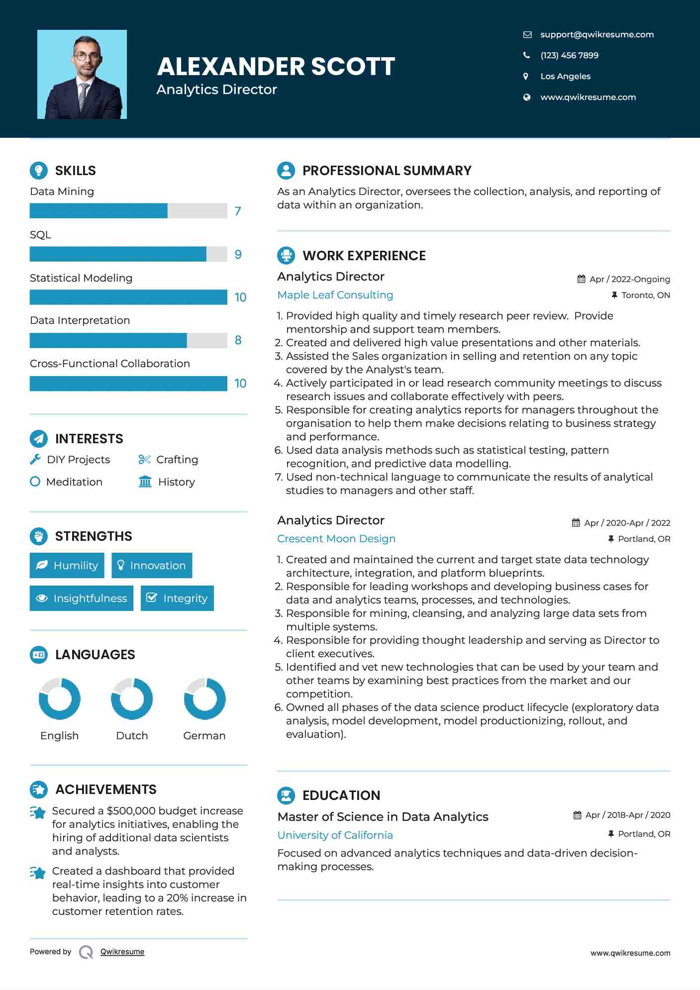 Analytics Director Resume Example