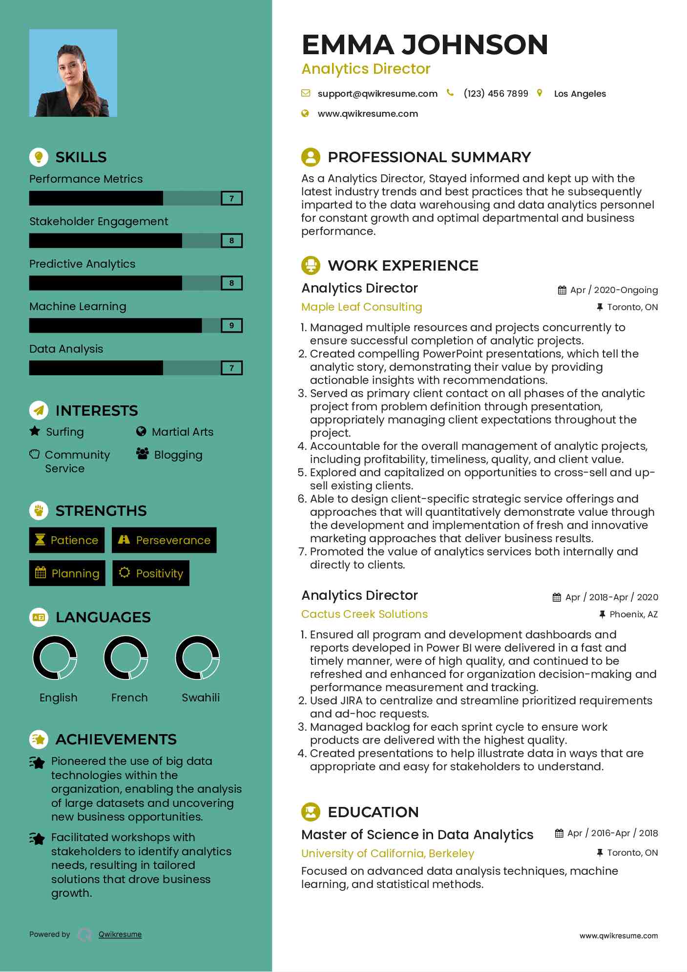 Analytics Director Resume Template