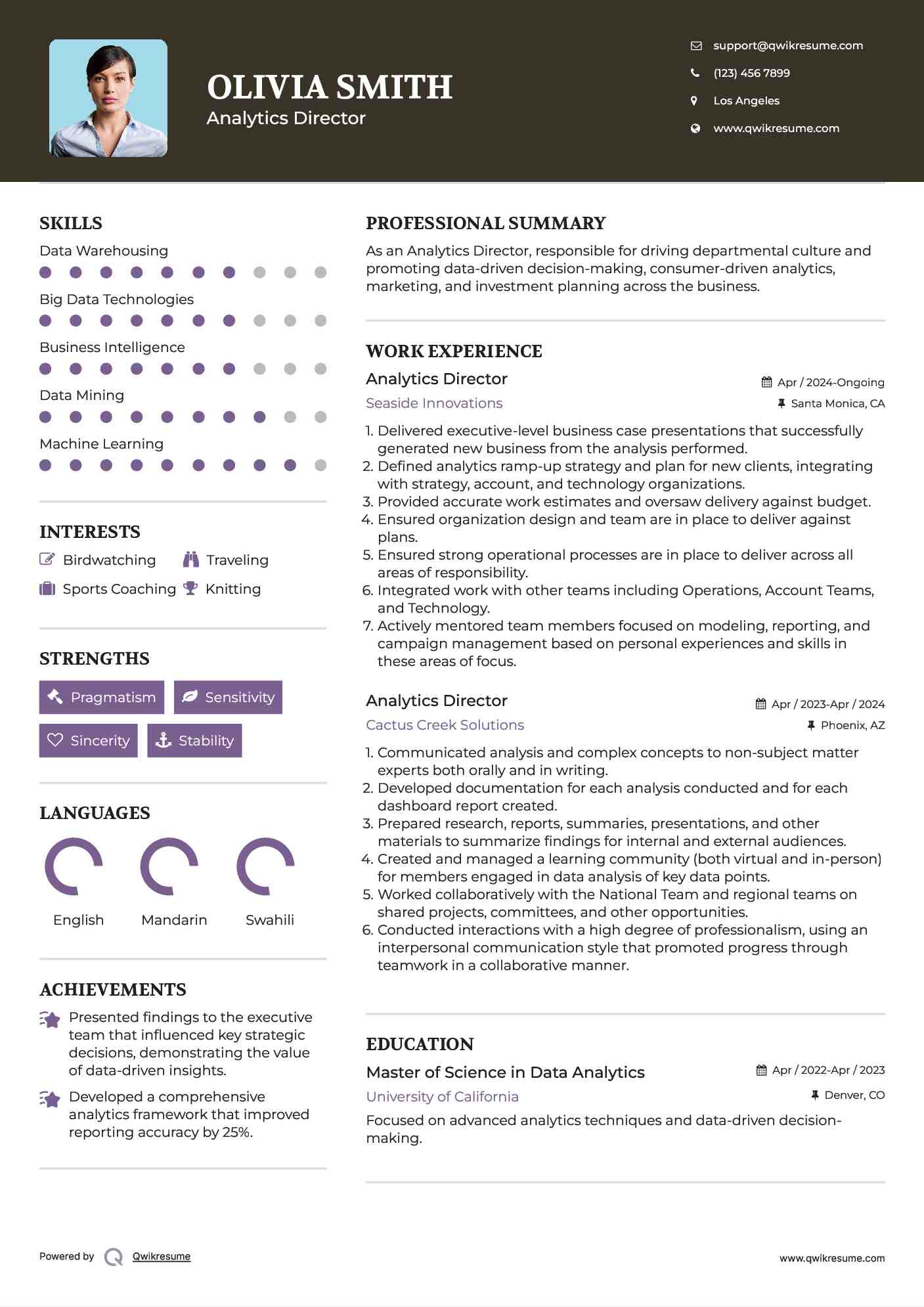 Analytics Director Resume Sample