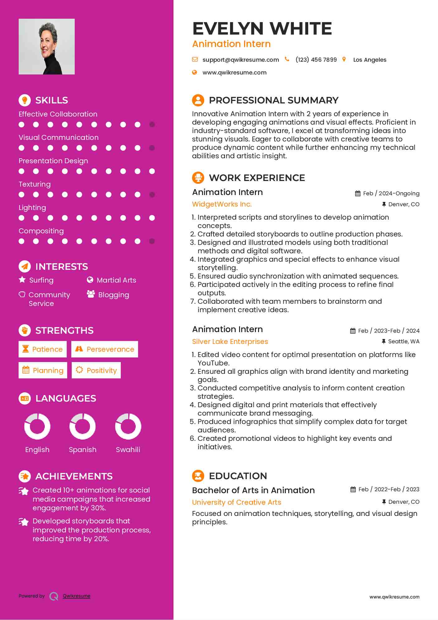 Animation Intern Resume Model