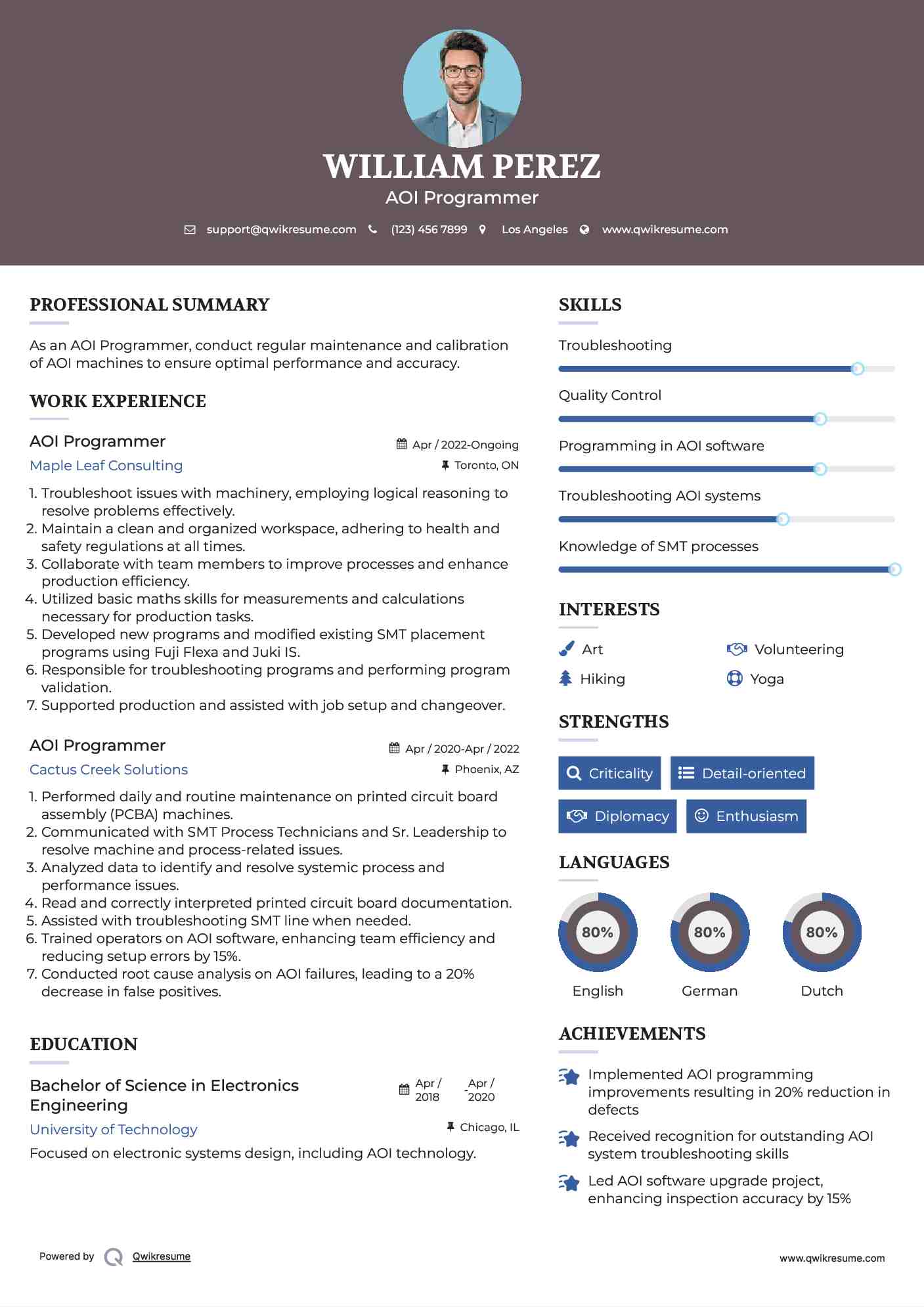 AOI Programmer Resume Sample