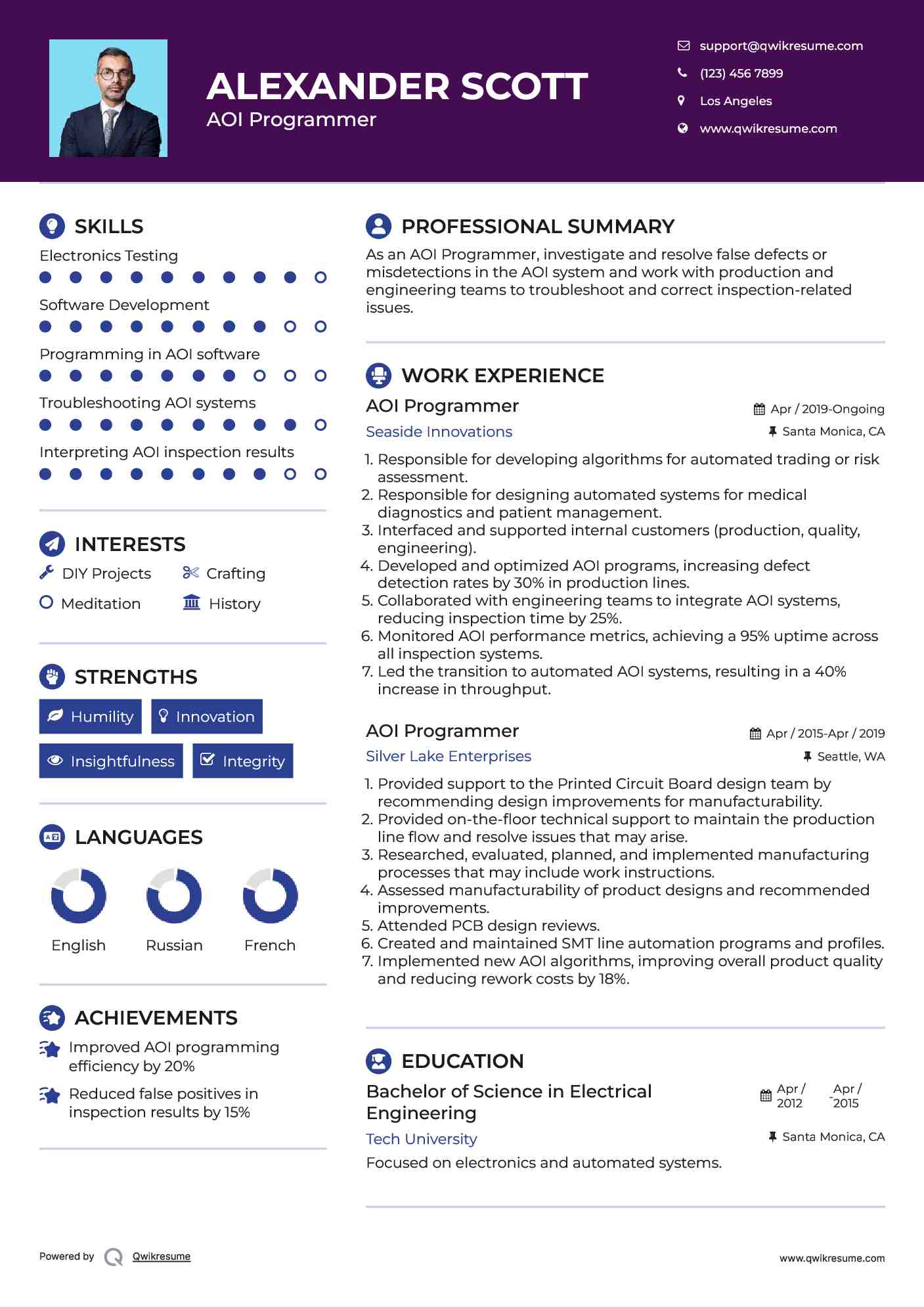 AOI Programmer Resume Format