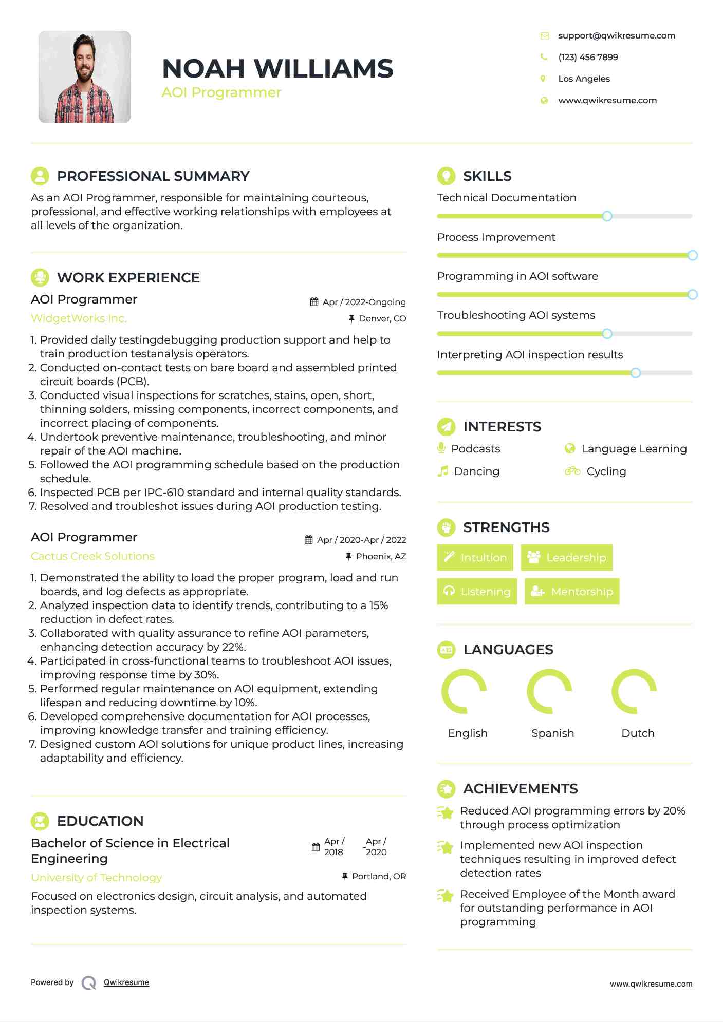 AOI Programmer Resume Example