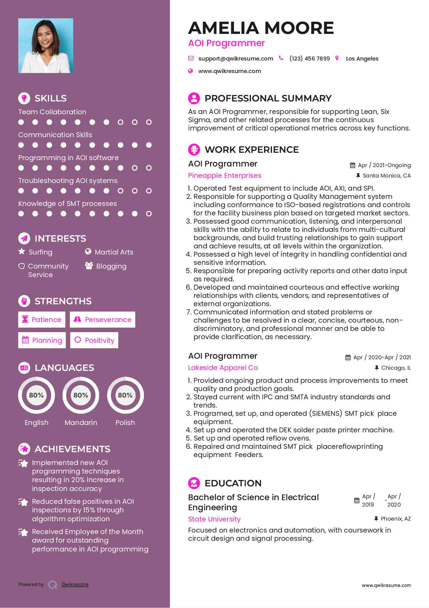 AOI Programmer Resume Sample