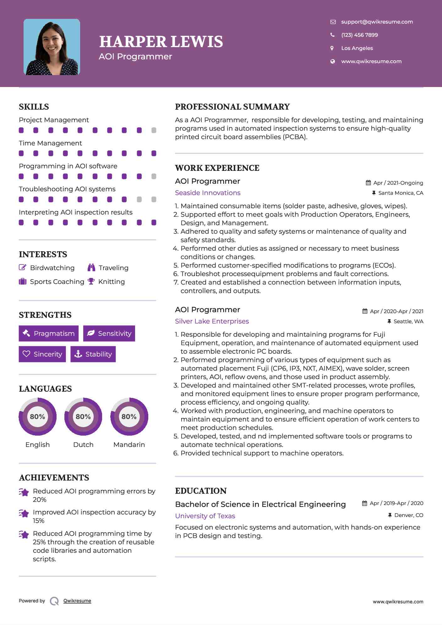 AOI Programmer Resume Sample