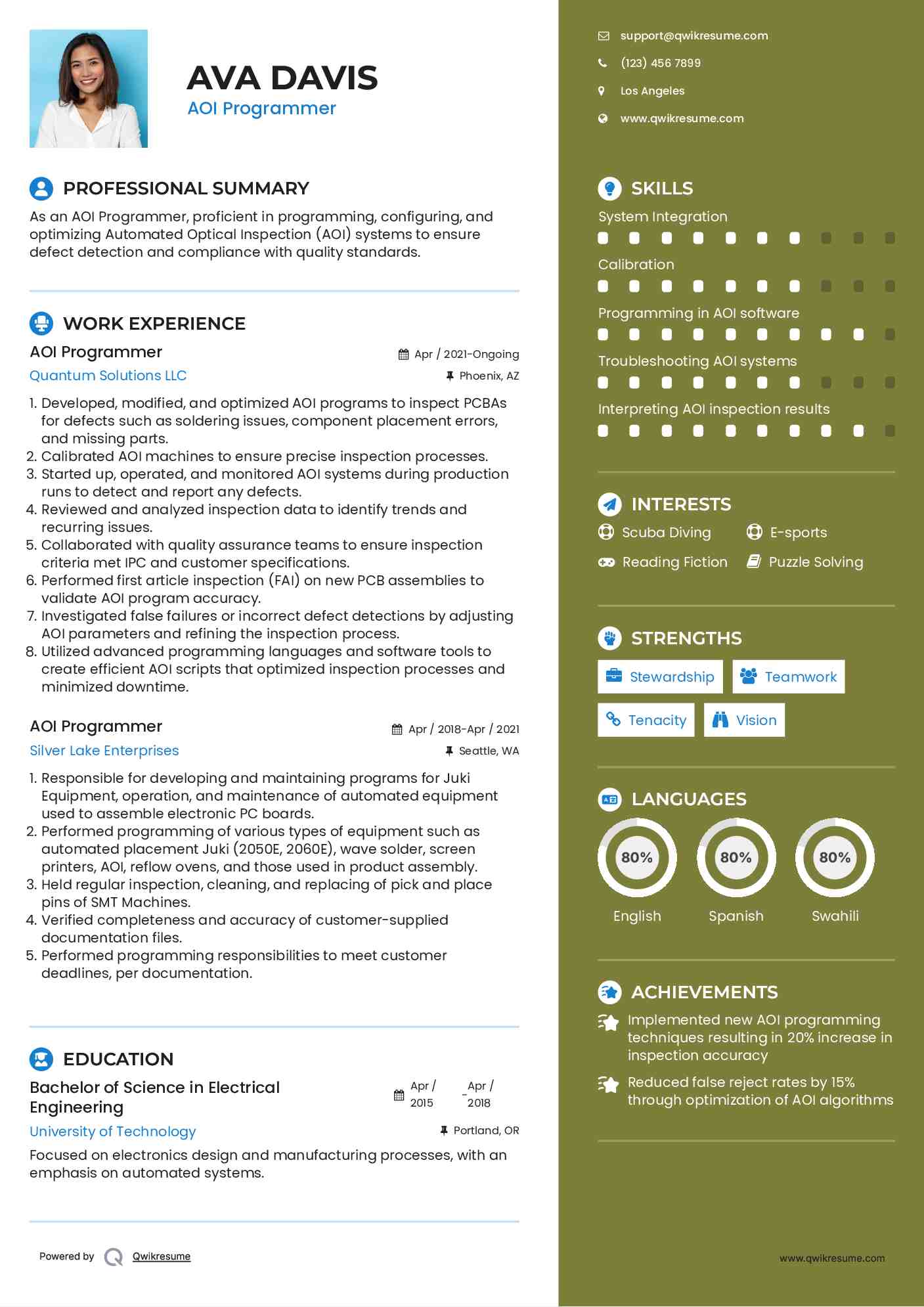 AOI Programmer Resume Format