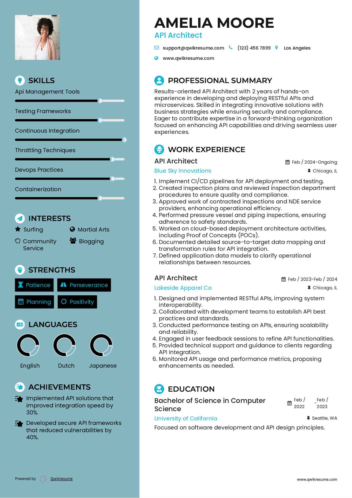 API Architect Resume Example