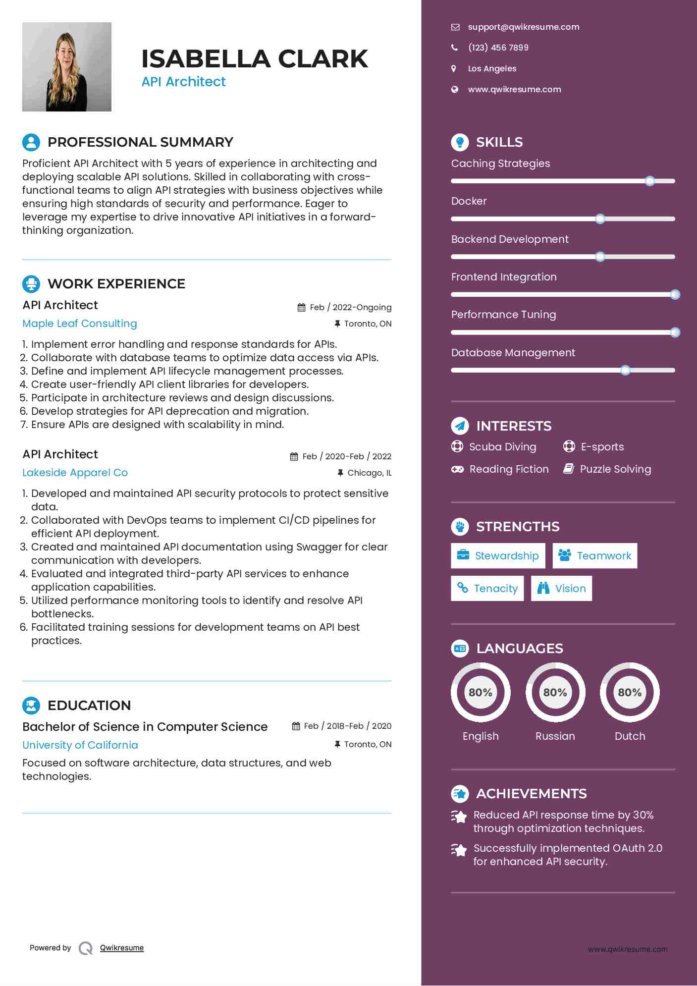 API Architect Resume Model
