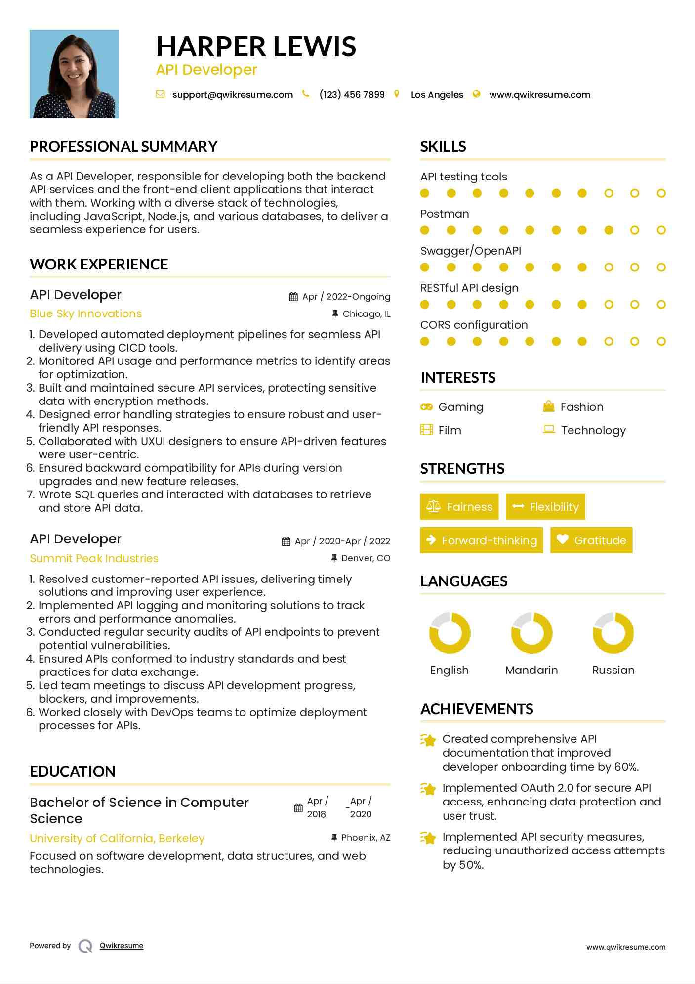 API Developer Resume Format