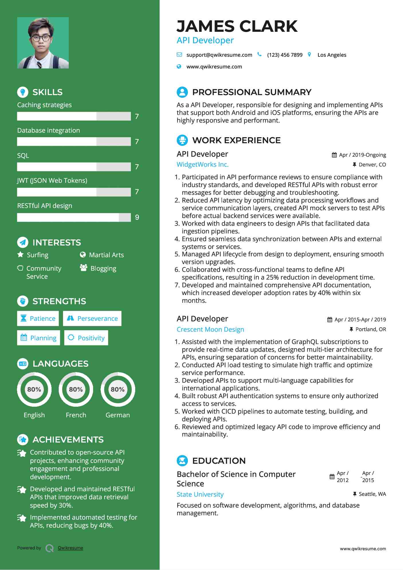 API Developer Resume Sample