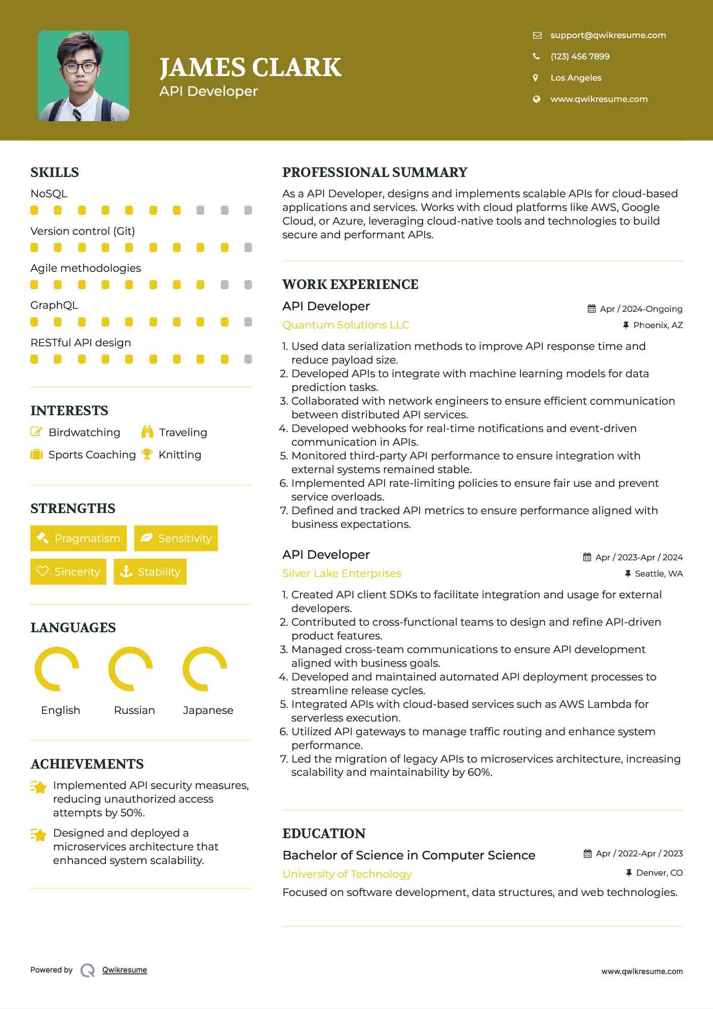 API Developer Resume Model