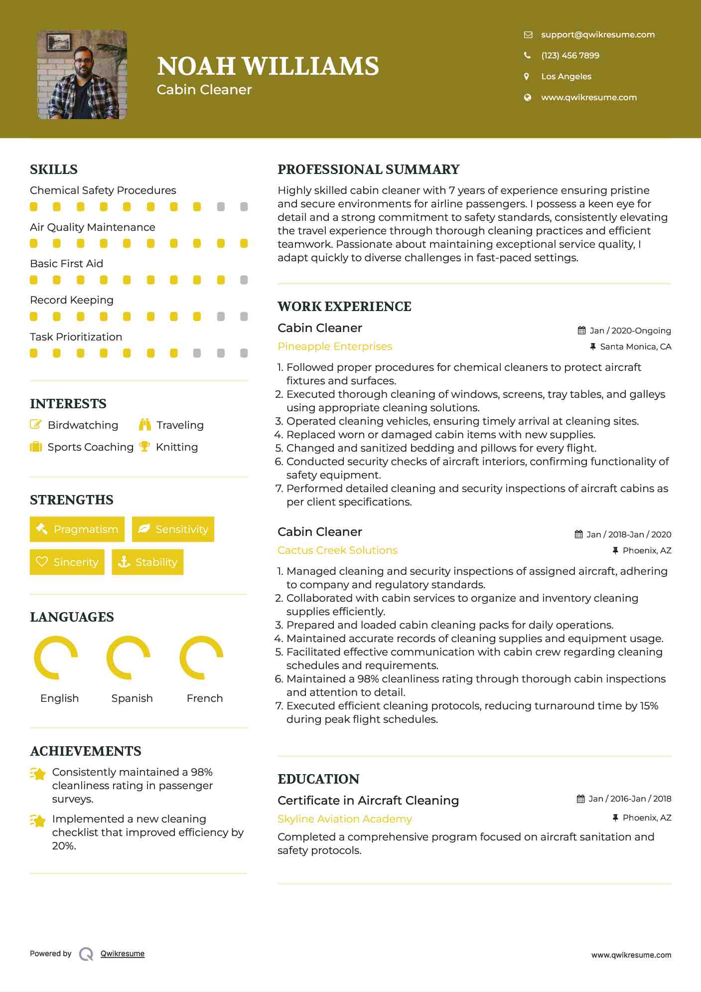 Cabin Cleaner Resume Sample