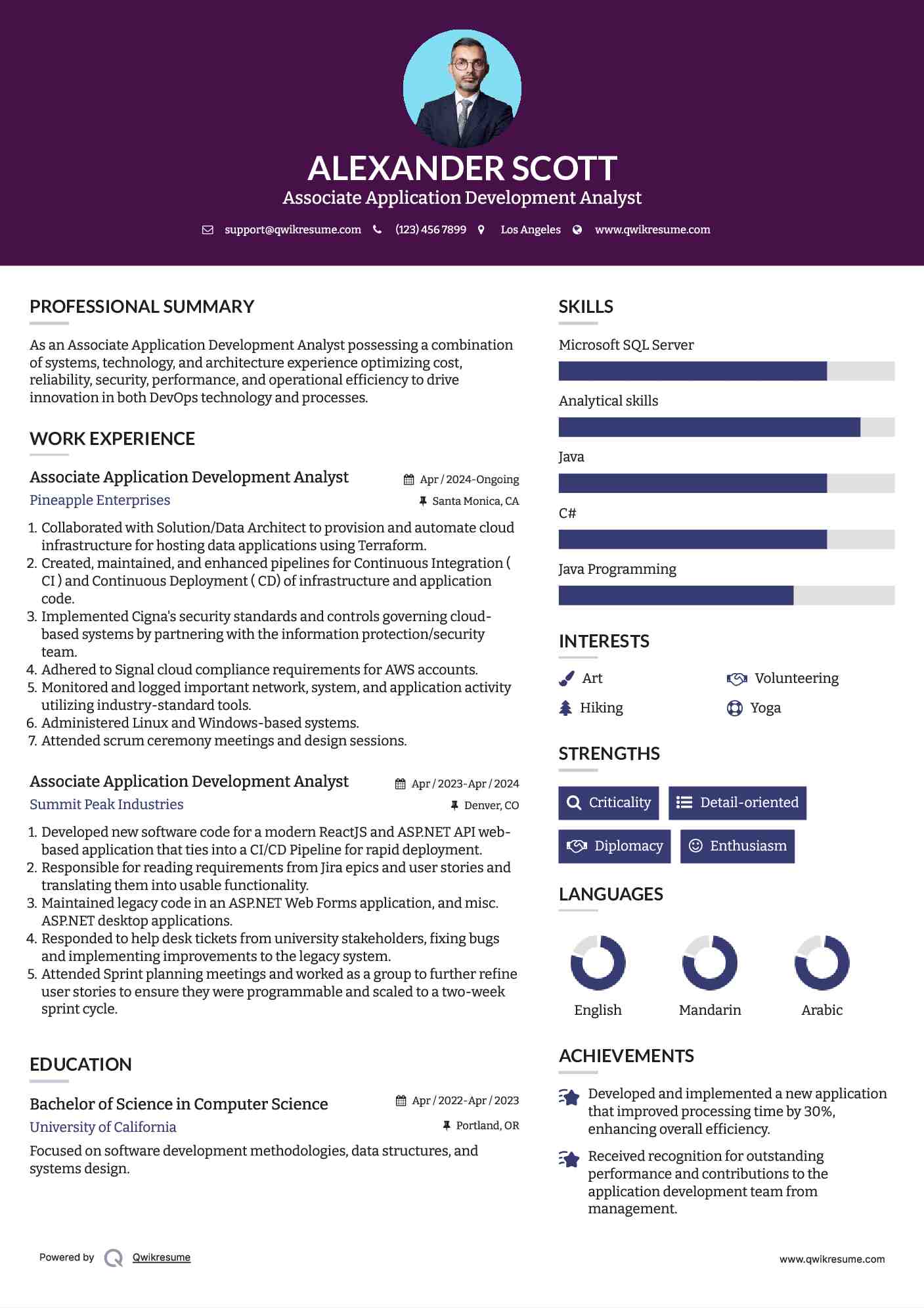  Associate Application Development Analyst Resume Sample