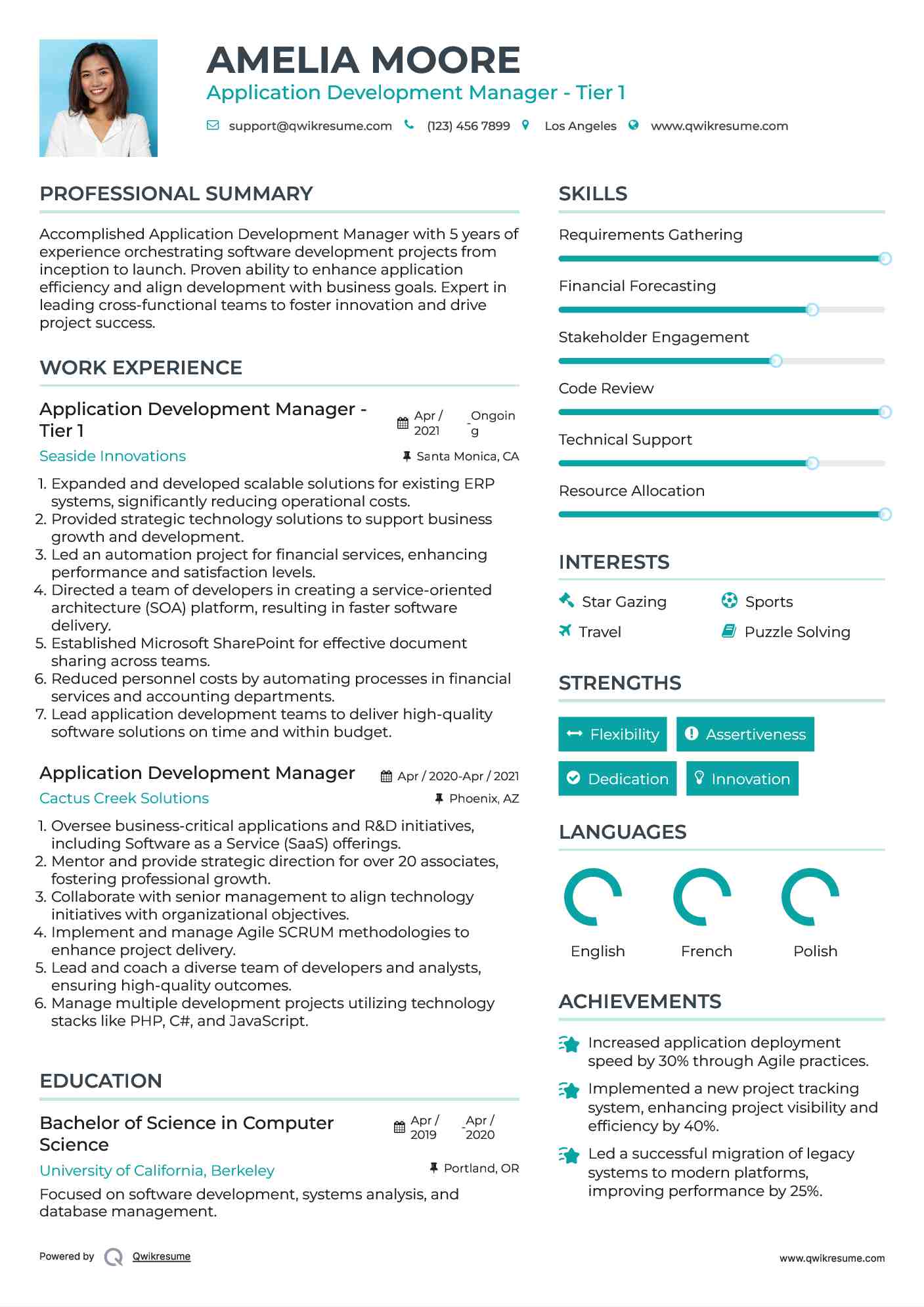 Application Development Manager - Tier 1 Resume Format