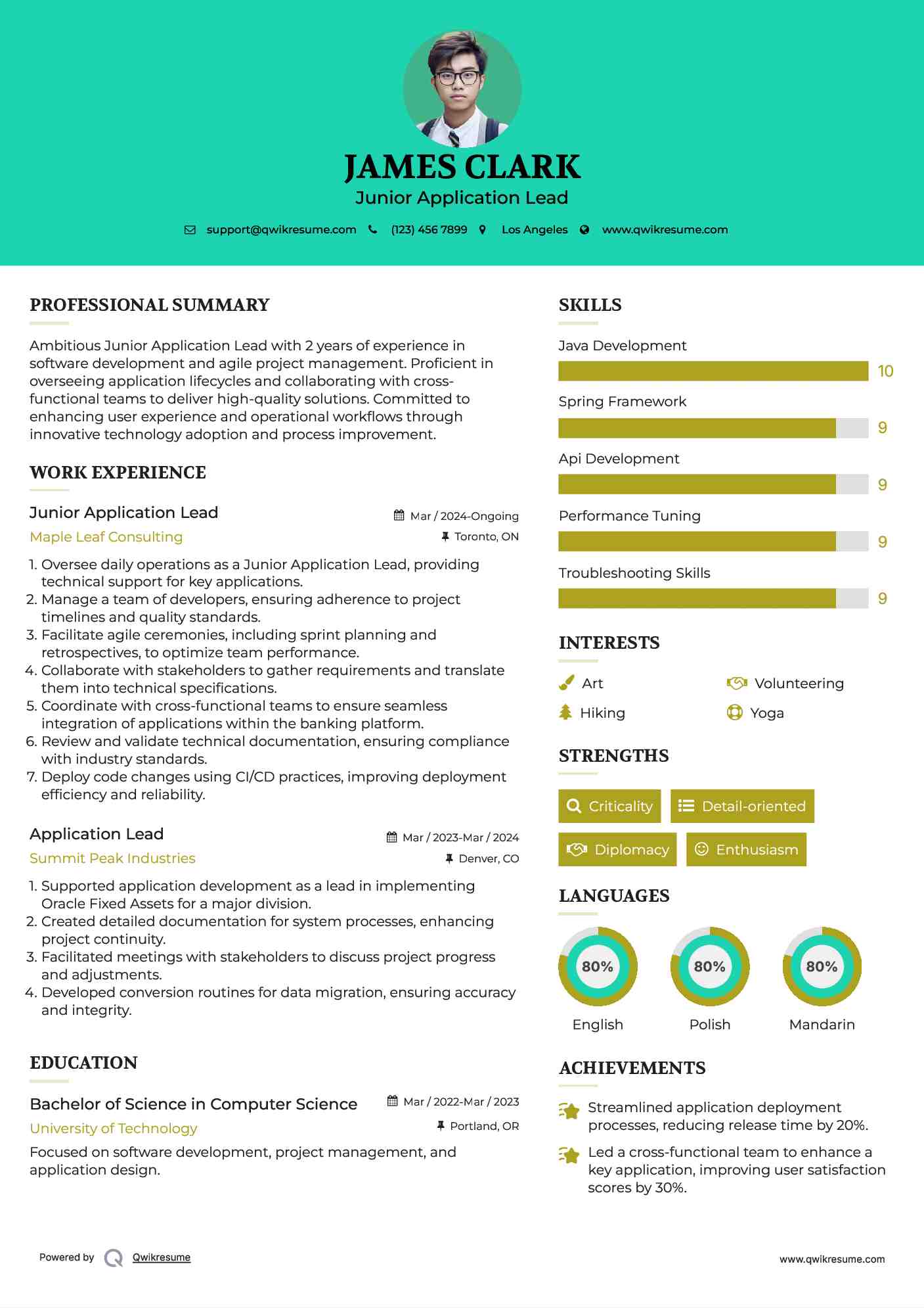 Junior Application Lead Resume Sample