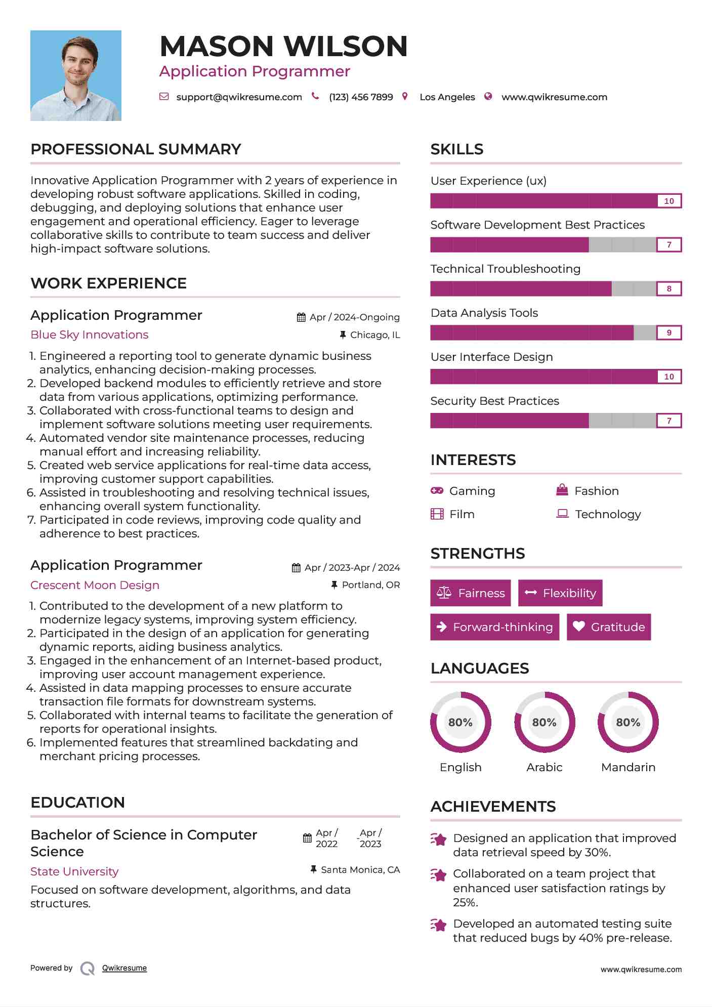 Application Programmer Resume Format