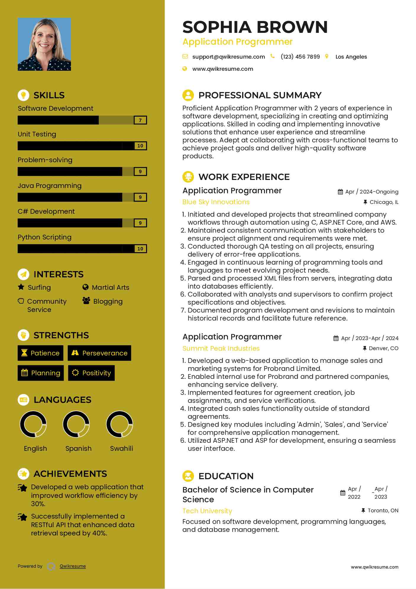 Application Programmer Resume Sample