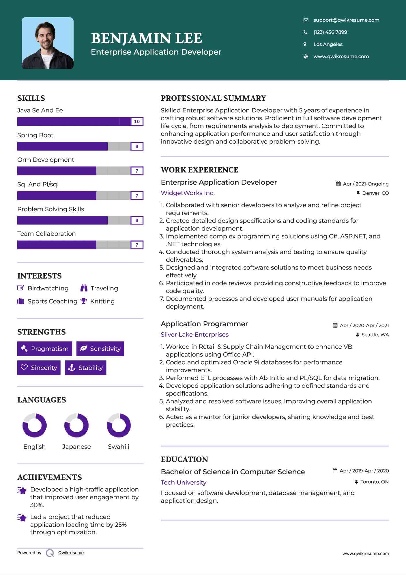 Enterprise Application Developer Resume Format