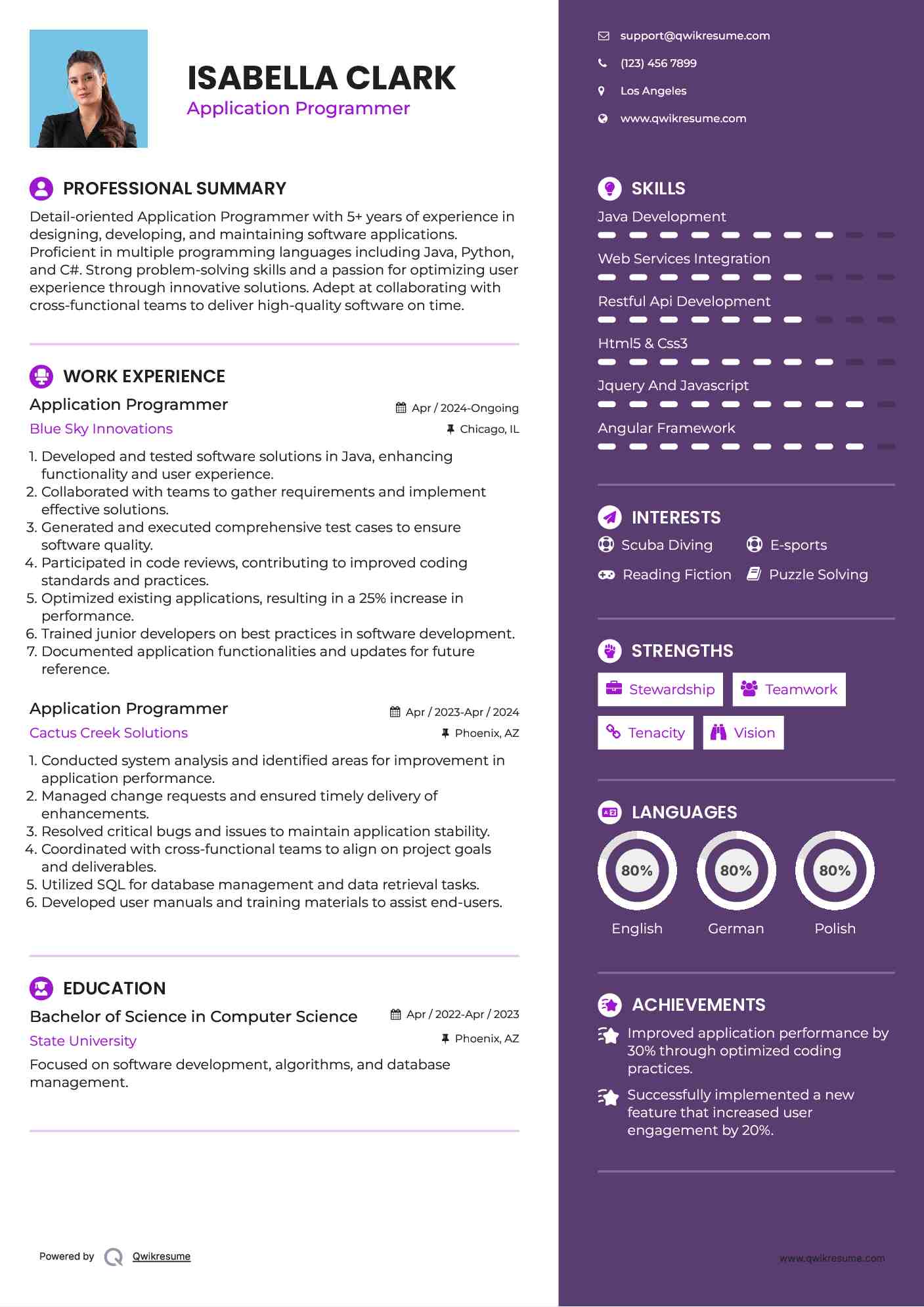 Application Programmer Resume Format