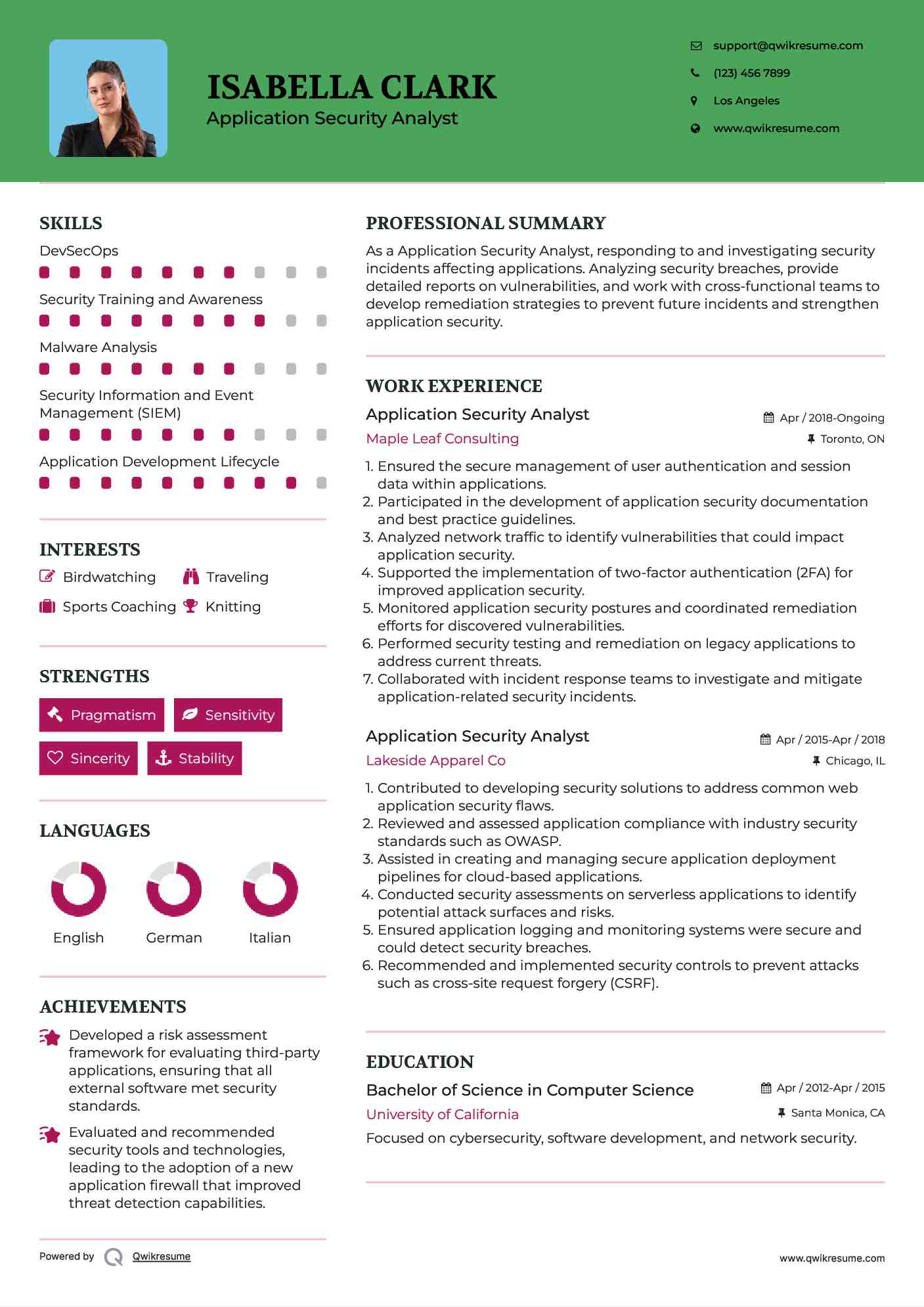 Application Security Analyst Resume Example