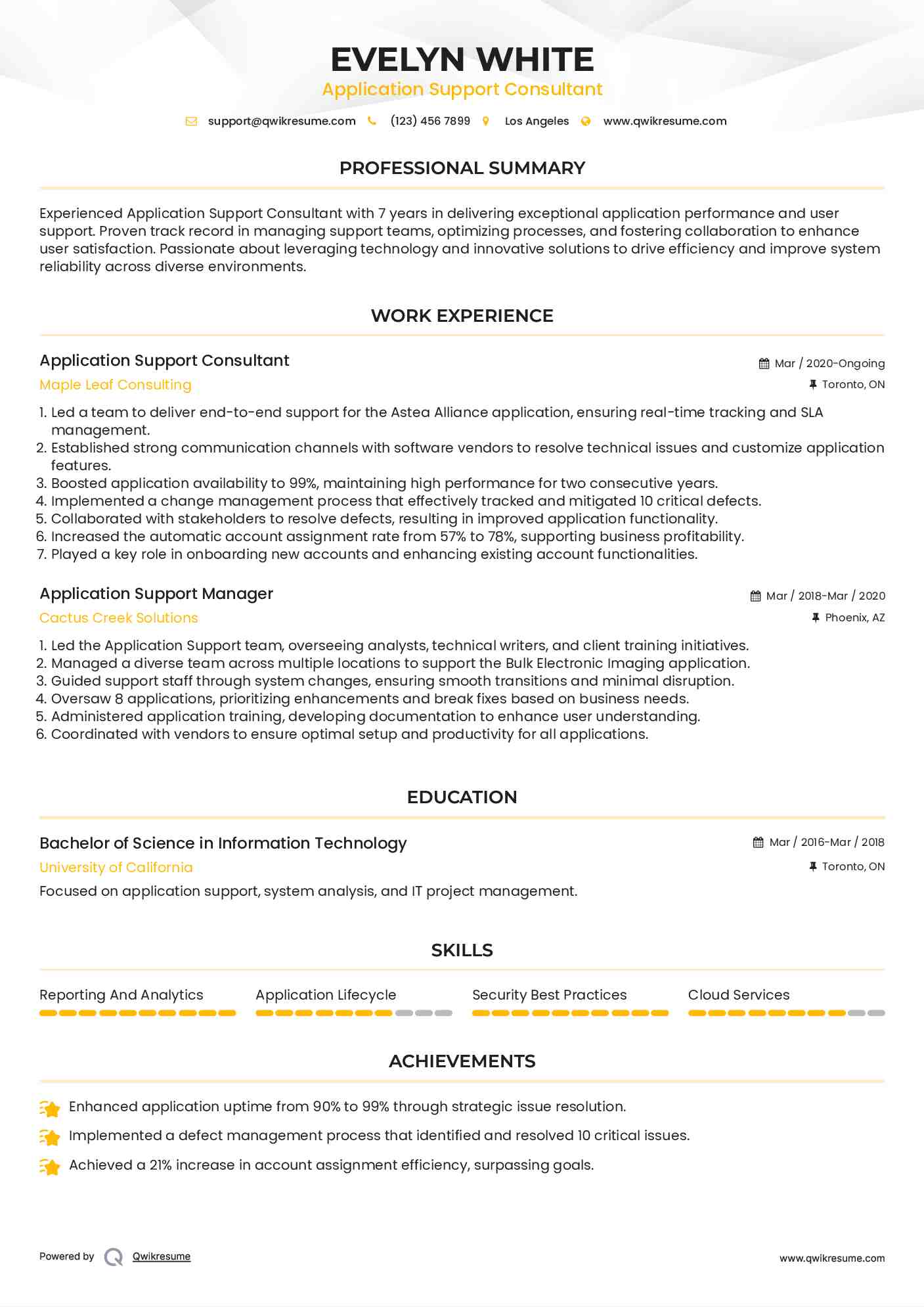 Application Support Consultant Resume Format