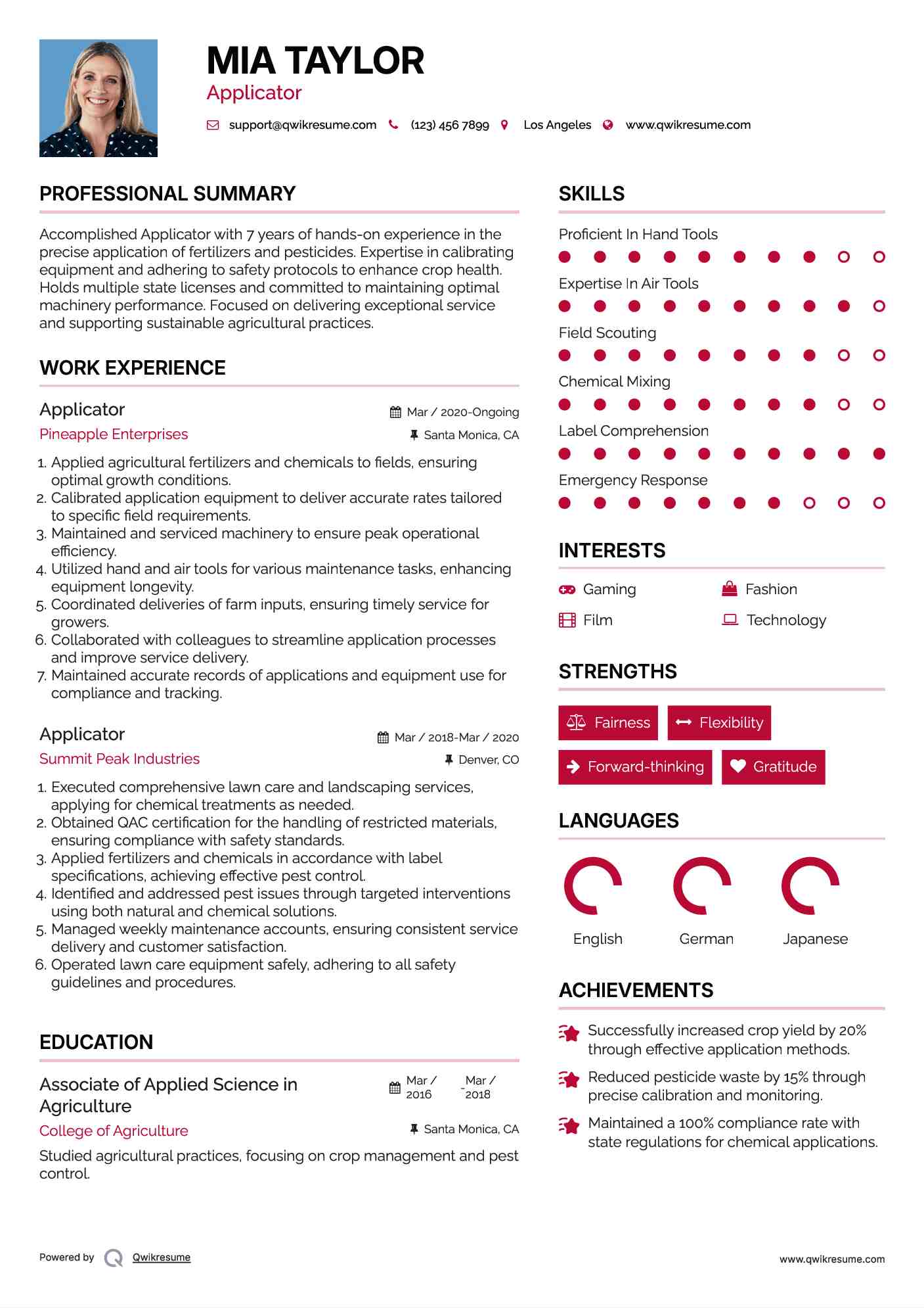 Applicator Resume Format