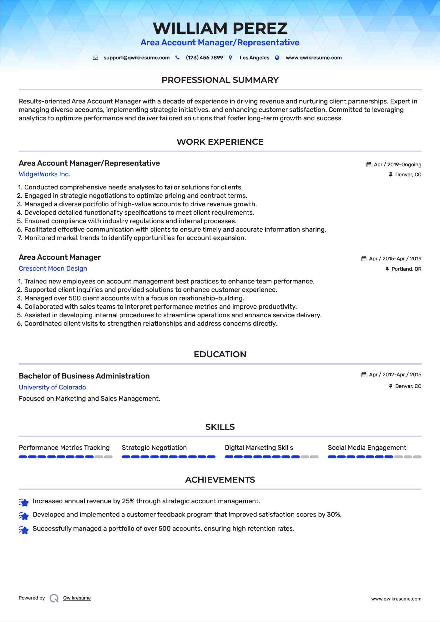Area Account Manager/Representative Resume Example