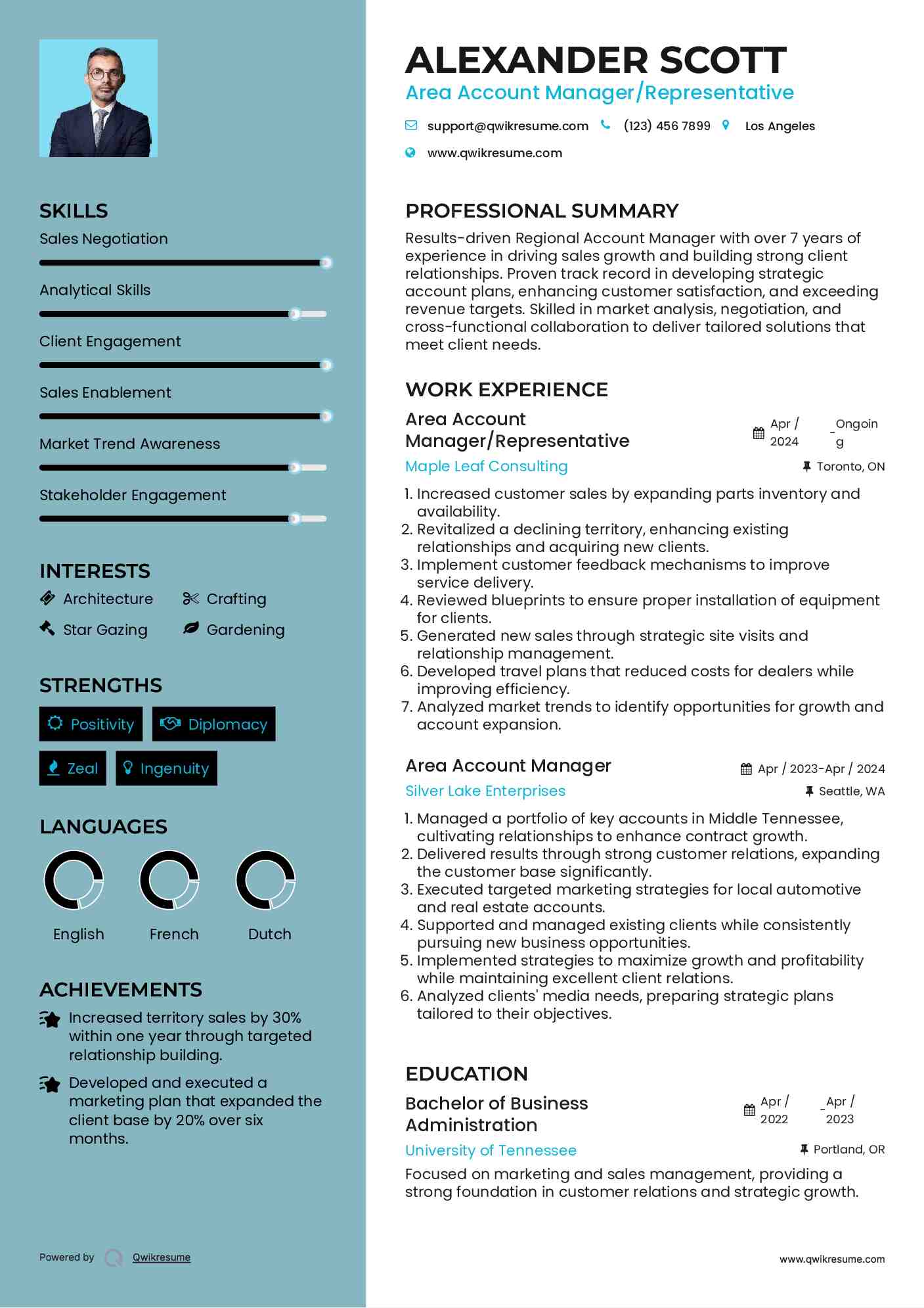 Area Account Manager/Representative Resume Format