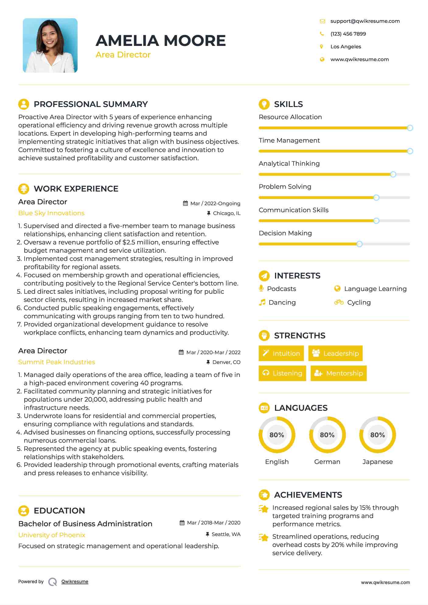 Area Director Resume Template