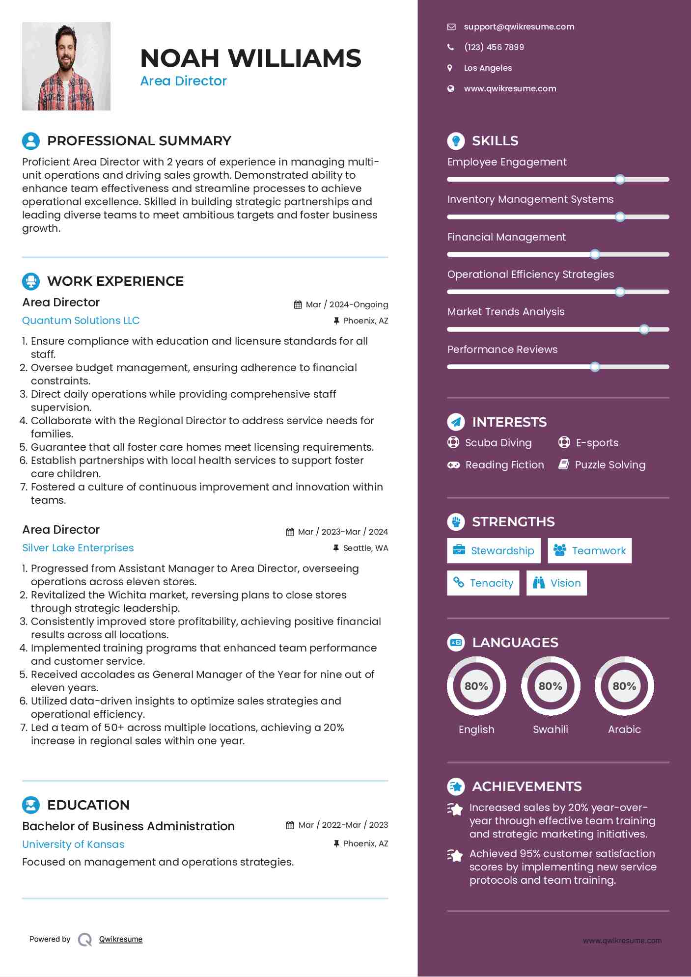 Area Director Resume Model