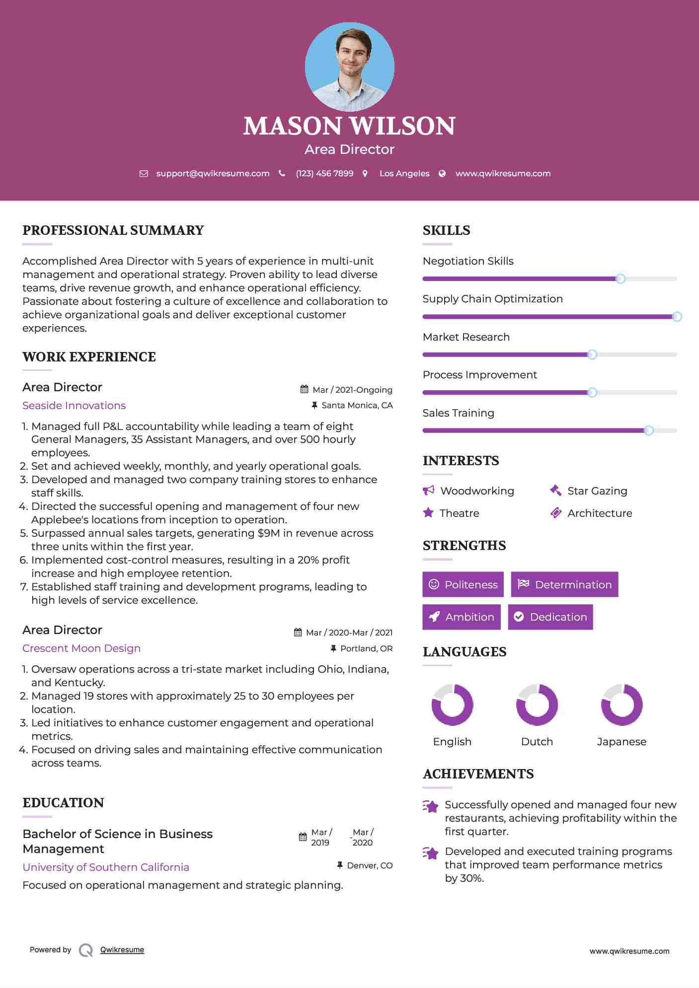 Area Director Resume Example