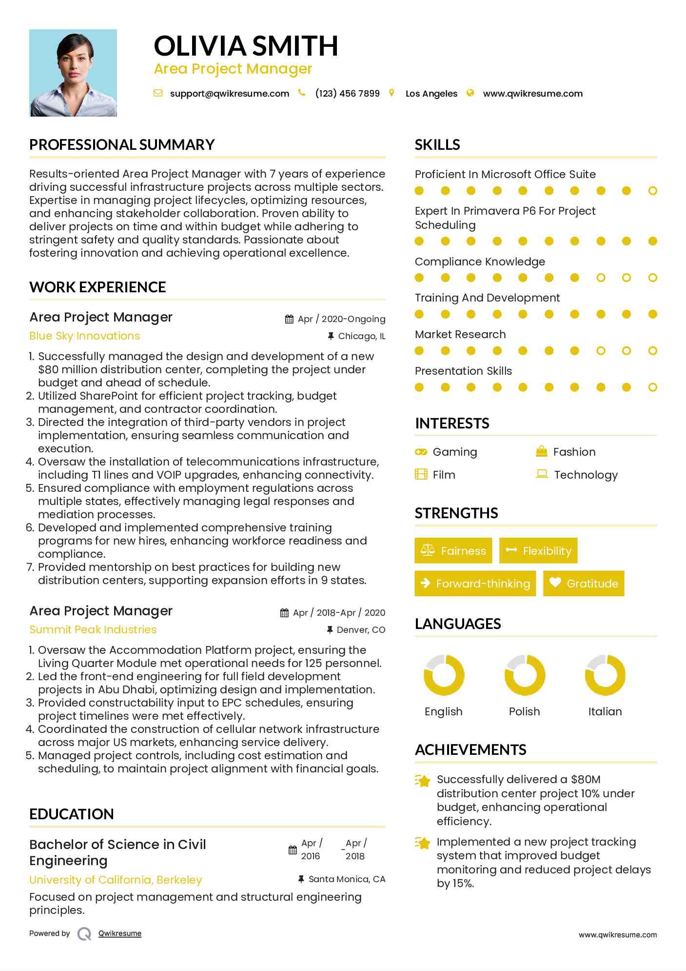 Area Project Manager Resume Model