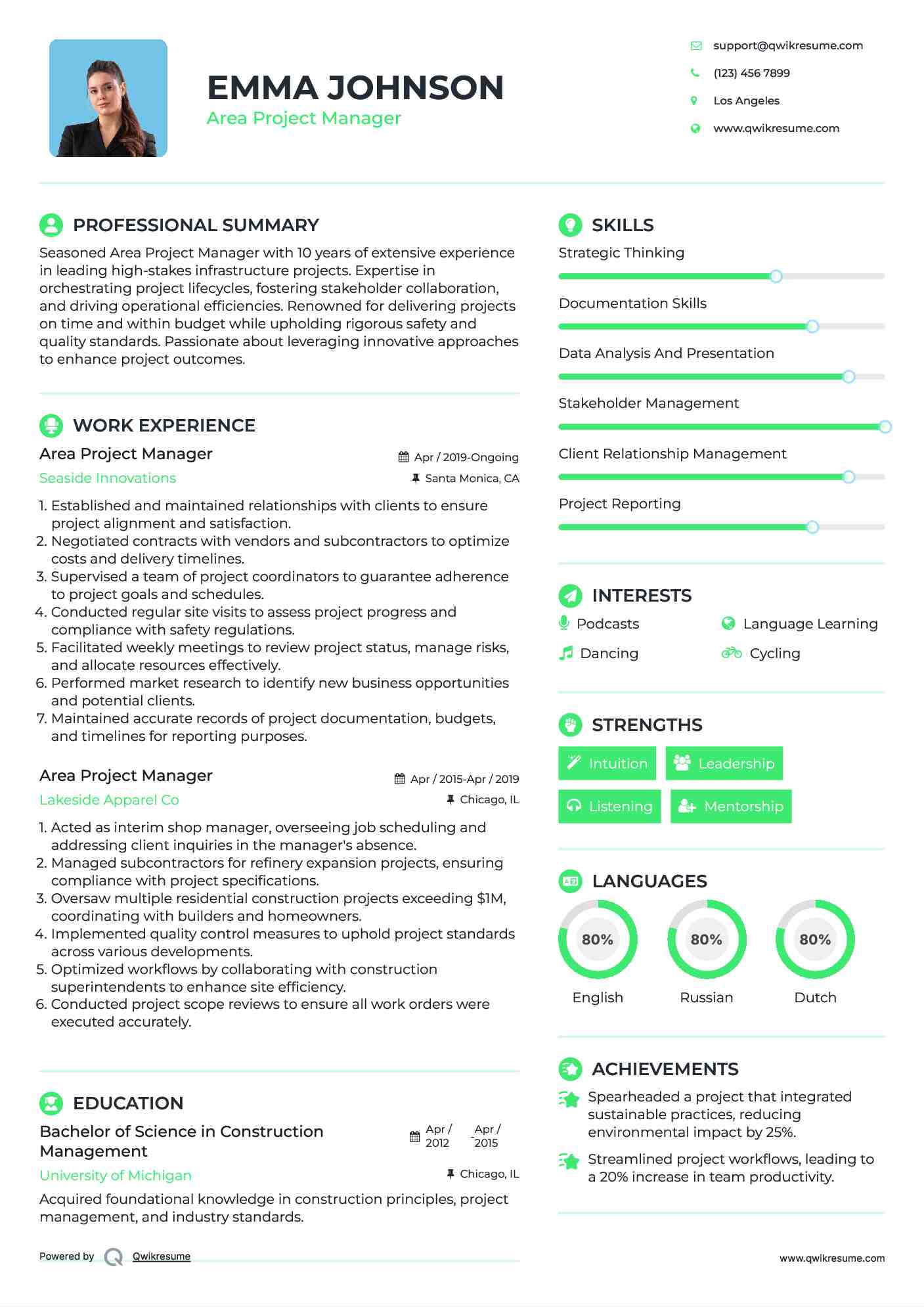 Area Project Manager Resume Example