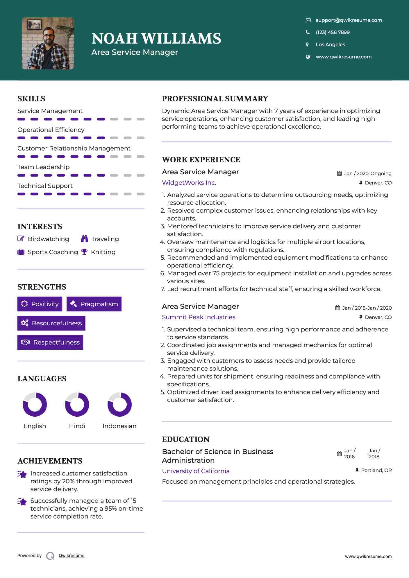Area Service Manager Resume Model