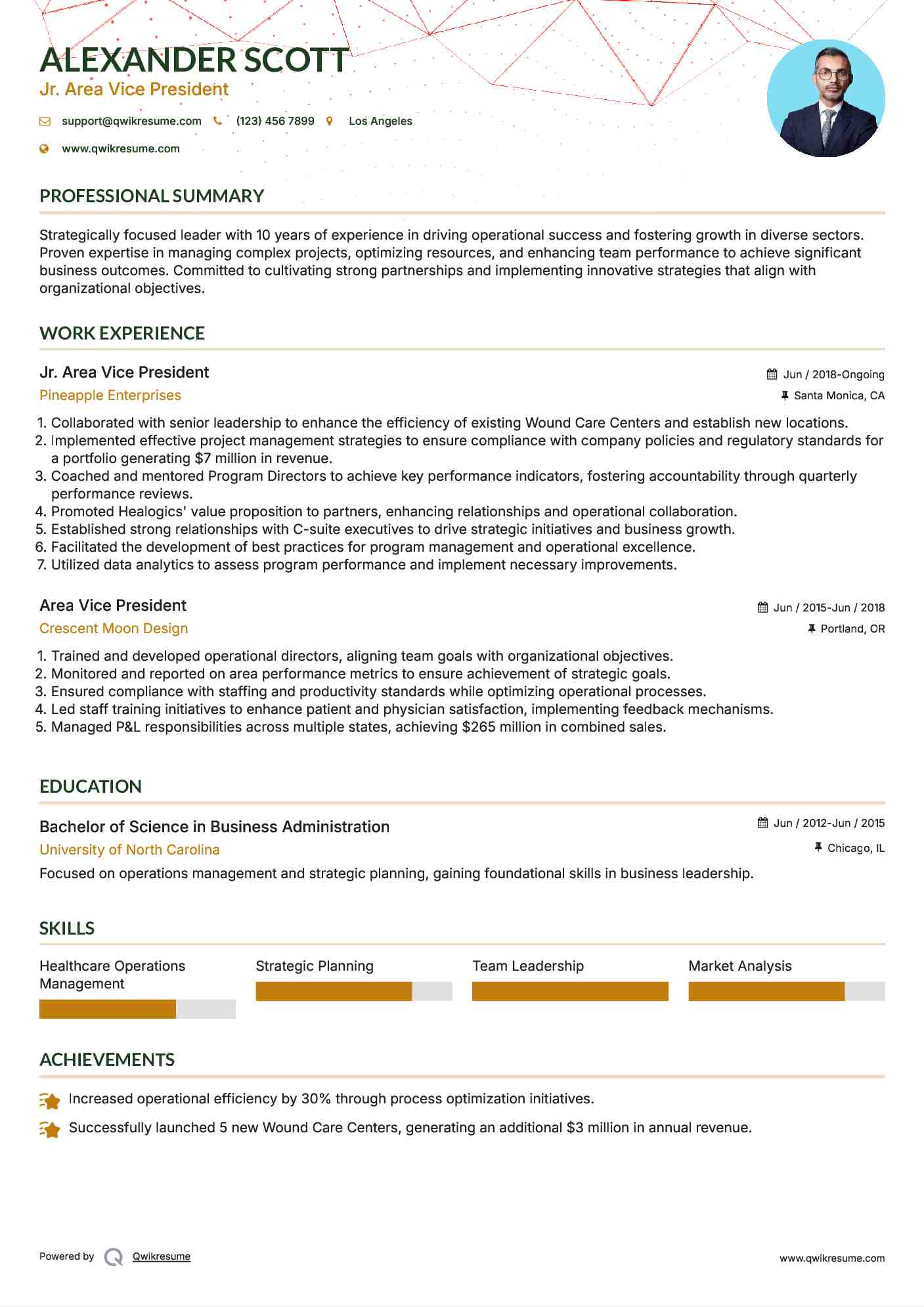 Jr. Area Vice President Resume Format
