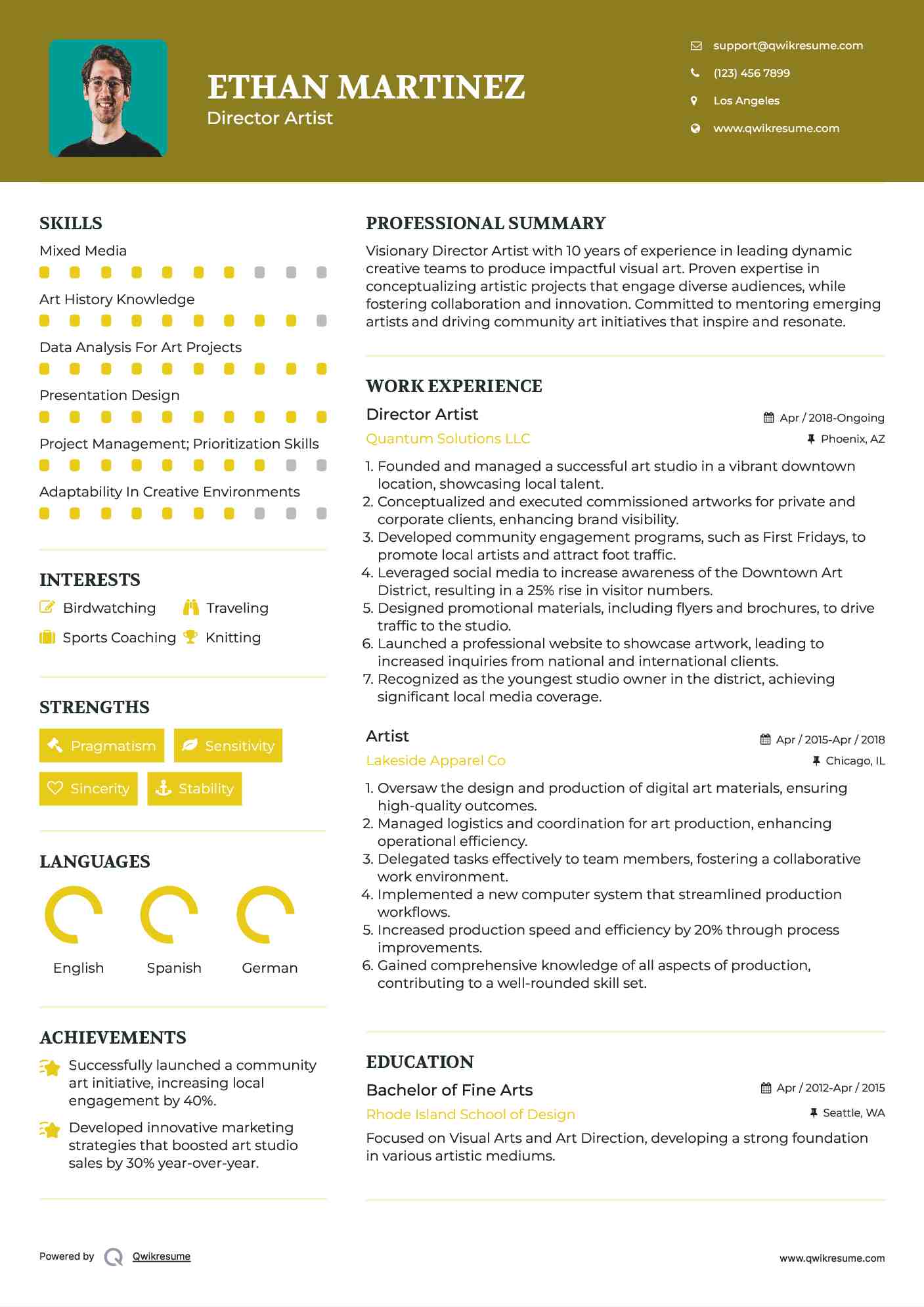 Director Artist Resume Template