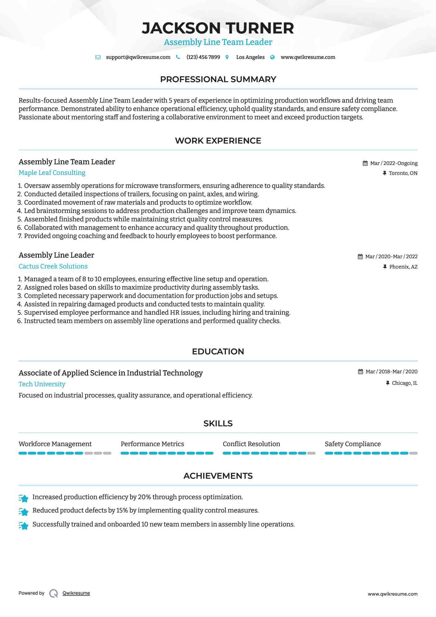 Assembly Line Team Leader Resume Format