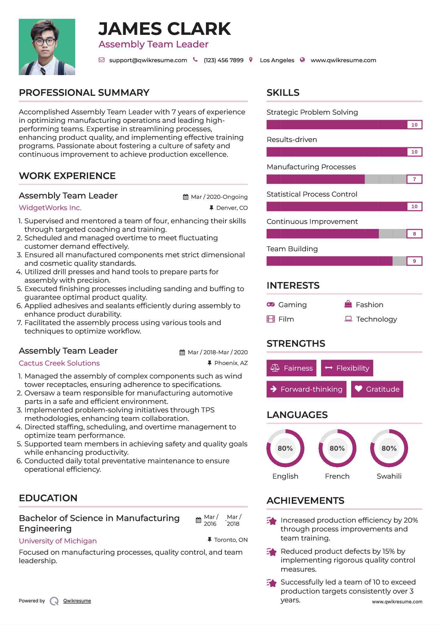 Assembly Team Leader Resume Template