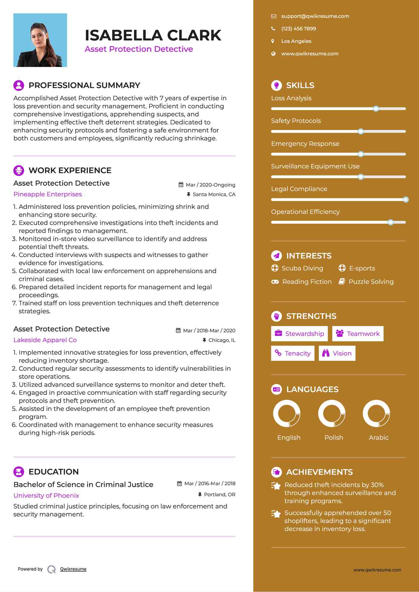 Asset Protection Detective Resume Example