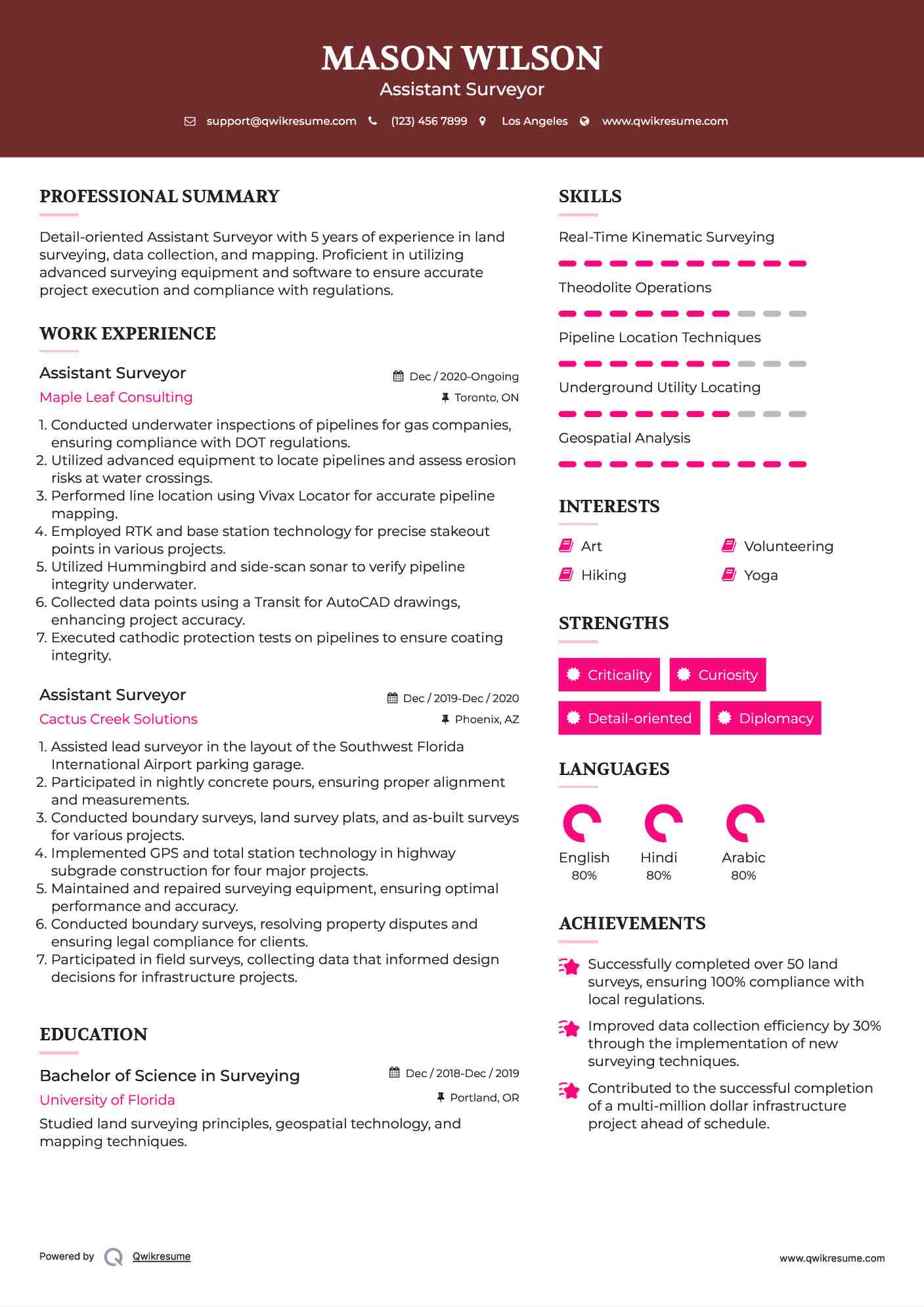 Assistant Surveyor Resume Example