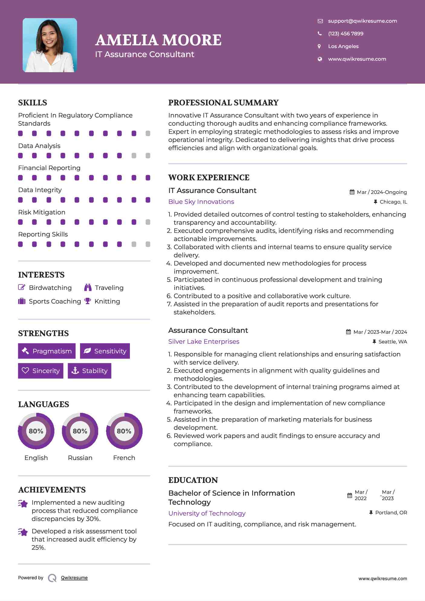 IT Assurance Consultant Resume Example