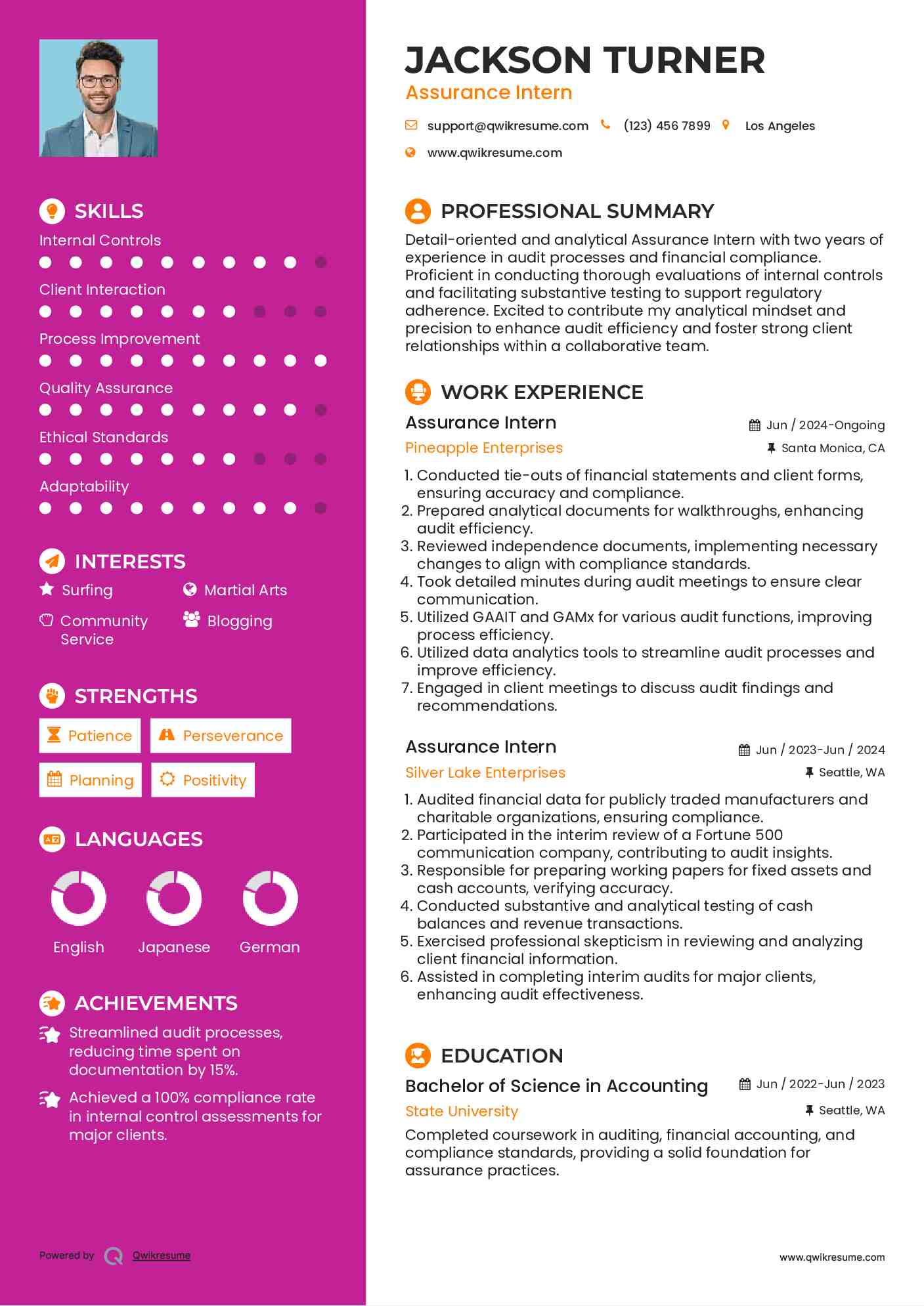 Assurance Intern Resume Example